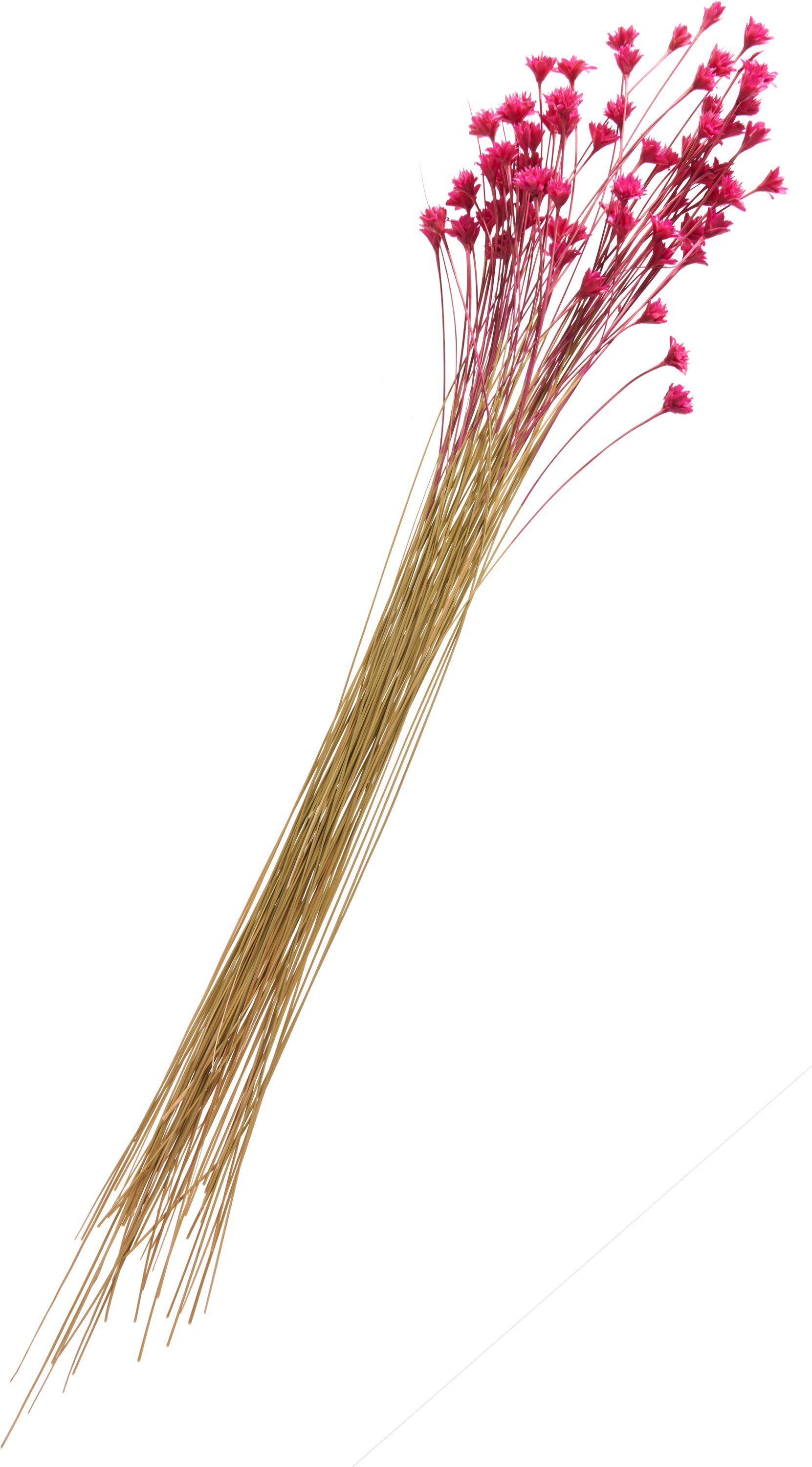 Kunstpflanze Hillflower, 50 cm