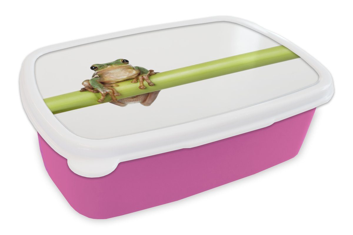 Kinder, - Snackbox, Lunchbox Mädchen, Bambus - Erwachsene, Kunststoff Kunststoff, Brotbox rosa MuchoWow Weiß, für Brotdose Frosch (2-tlg),