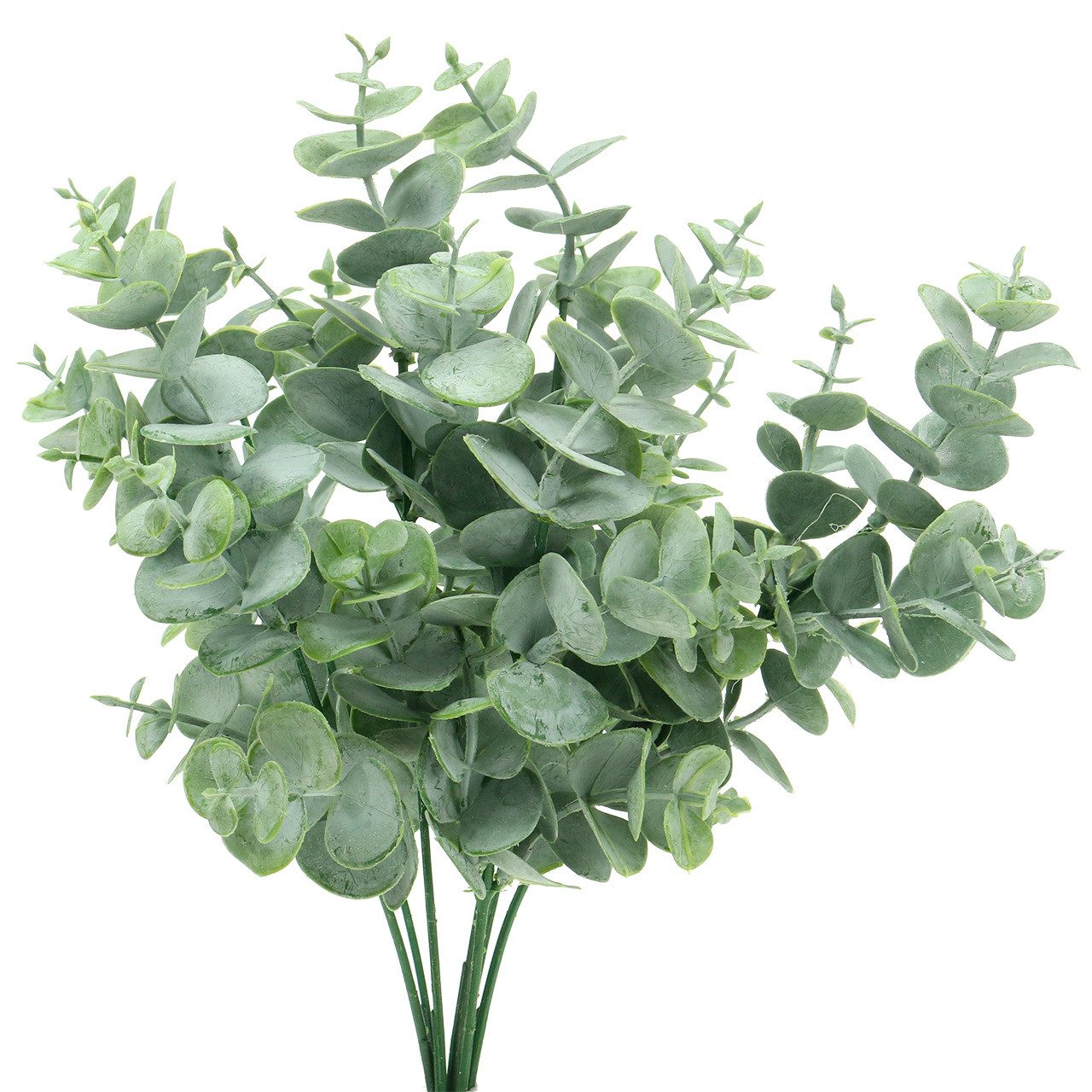 Künstliche Zimmerpflanze Eukalyptus künstlich Grün 32cm günstig online kaufen