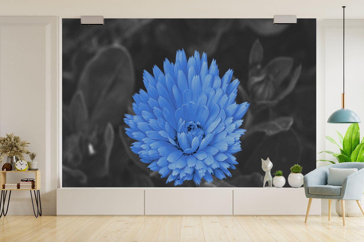 MuchoWow Fototapete Blumen - St), - Blau, bedruckt, Wallpaper Matt, Kinderzimmer, Vinyl Wohnzimmer, Schwarz Tapete - (6 für Weiß Schlafzimmer