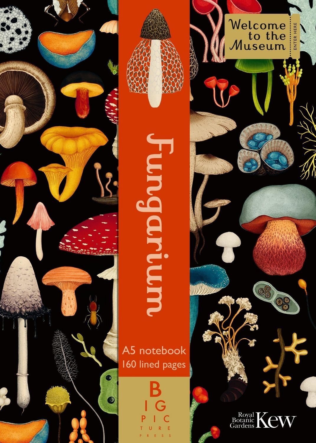 Notizbuch Fungarium A5 Notebook