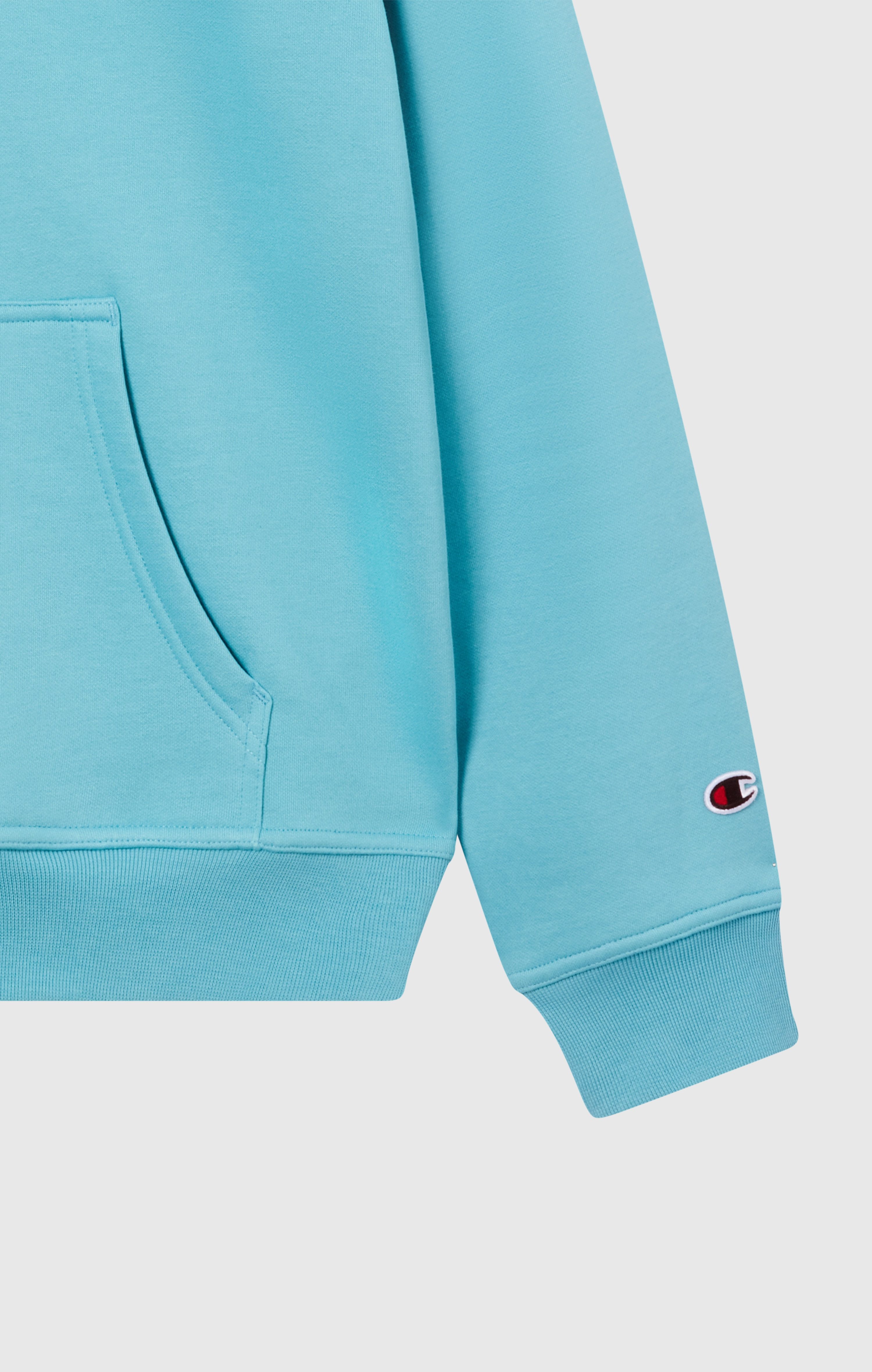 Champion Kapuzensweatshirt SPORTWEAR HOODIE Standard Fit mit Kapuze, mit aufgerautem Innenfutter