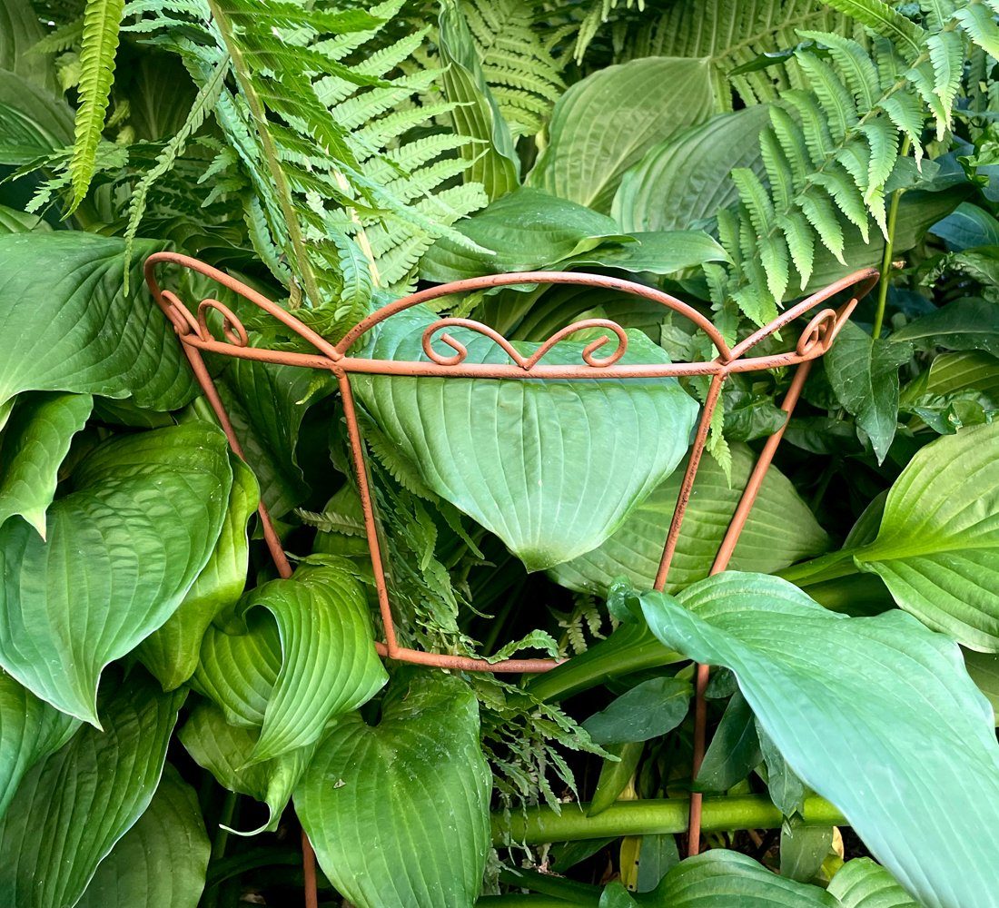 LB H&F Lilienburg Rankhilfe Staudenhalter Rankhilfe Bogen Pflanzenhalter, Blumenstütze Metall ROST Strauchstütze Pflanzenstütze Staudenhalter, Strauchhalter Hortensienstütze Pflanzstütze Rankelement Blumenhalter