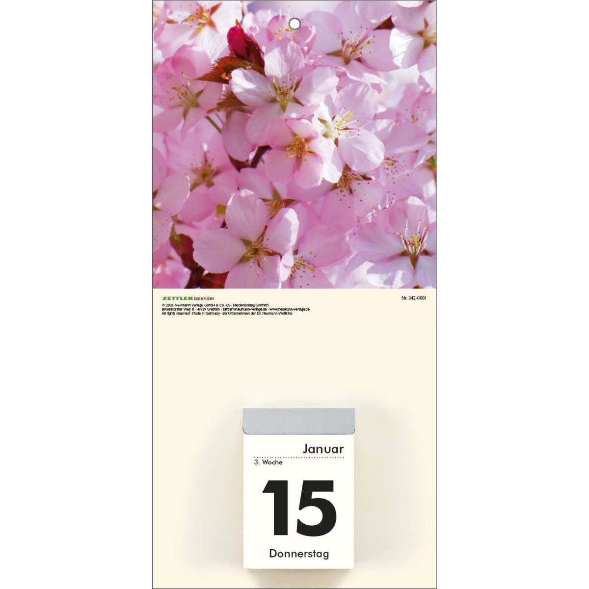 ZETTLER Abreißkalender Kalenderrückwand 14,5x30cm für Typ 301 / 302 Blumen sortiert