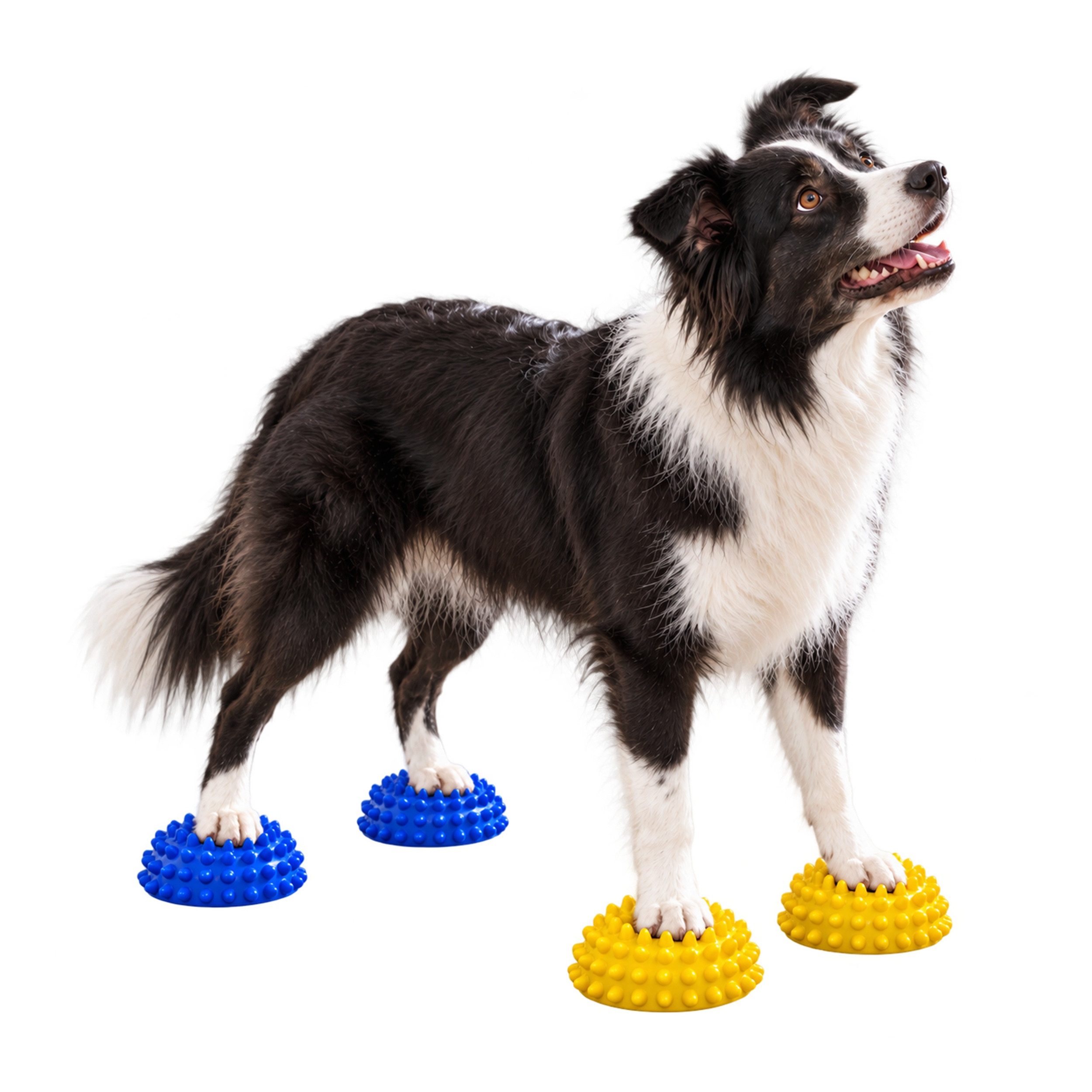 Superhund Balancetrainer 4er Balance-Igel für Hunde – Blau/Gelb – ohne Pumpe