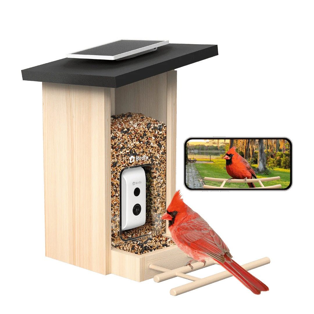 Birdfy Vogelhaus Feeder Ebony Lite, Holz, mit KI-Kamera, Solar