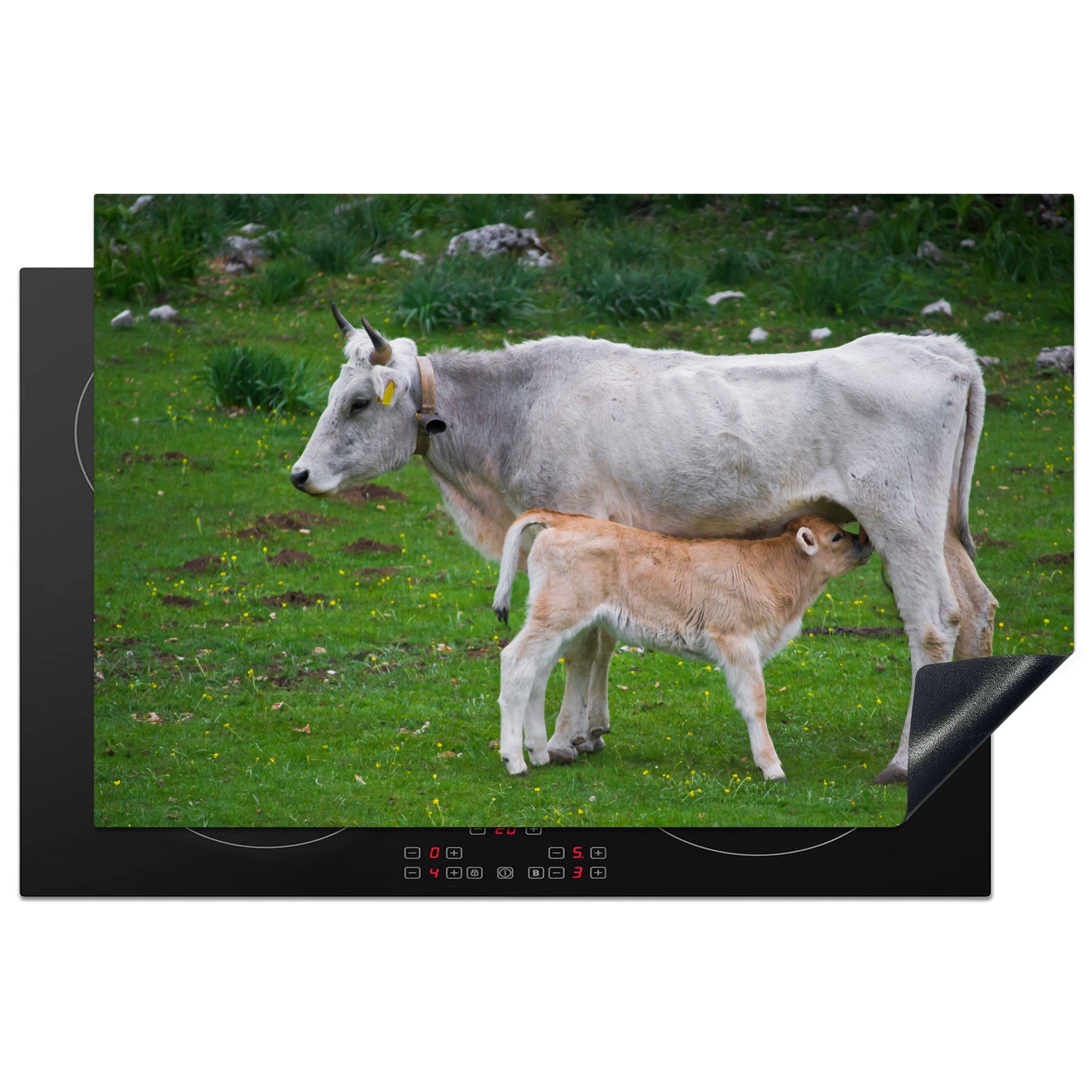 MuchoWow Herdblende-/Abdeckplatte Kühe - (1 Natur, Schutz 81x52 Ceranfeldabdeckung Induktionskochfeld Vinyl, Tiere küche, für cm, die tlg), 