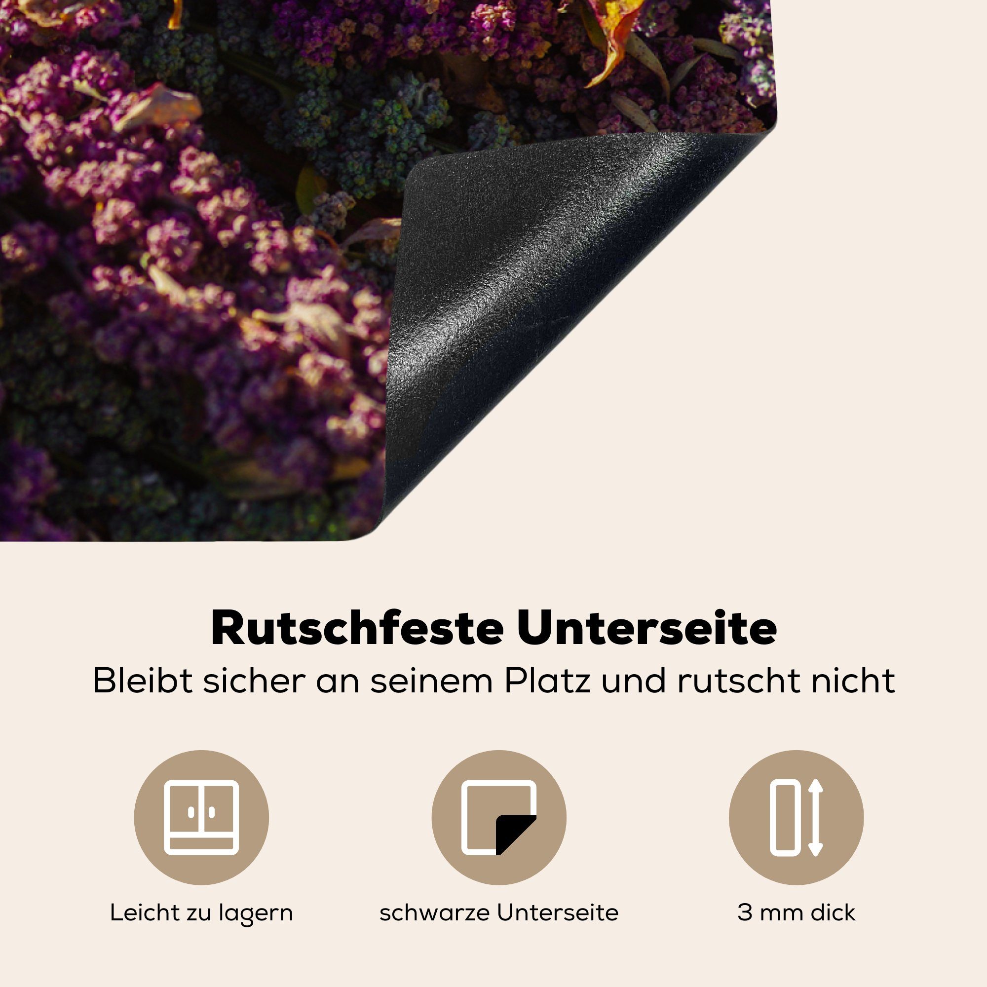 81x52 Violette Quinoa-Pflanzen (1 in Farben Herdblende-/Abdeckplatte Ceranfeldabdeckung küche, für Schutz tlg), cm, der einem die Haufen, MuchoWow Vinyl, Induktionskochfeld