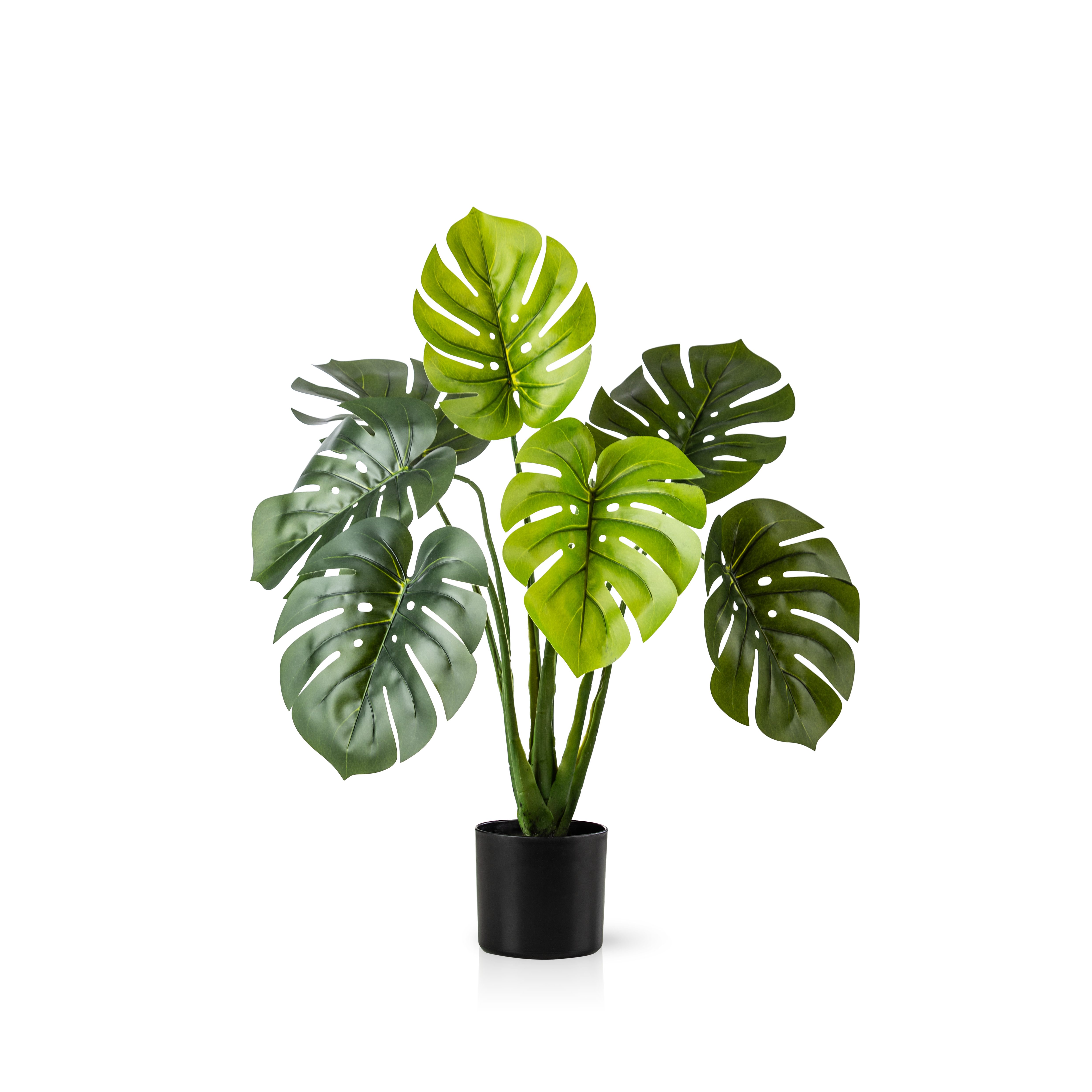 Kunstpflanze Künstliche Pflanzen, Große Kunstpflanzen im Topf Olive, Monstera, Yucca, Agave, Palmfarn, Geigenfeige, PASCH, wie echt