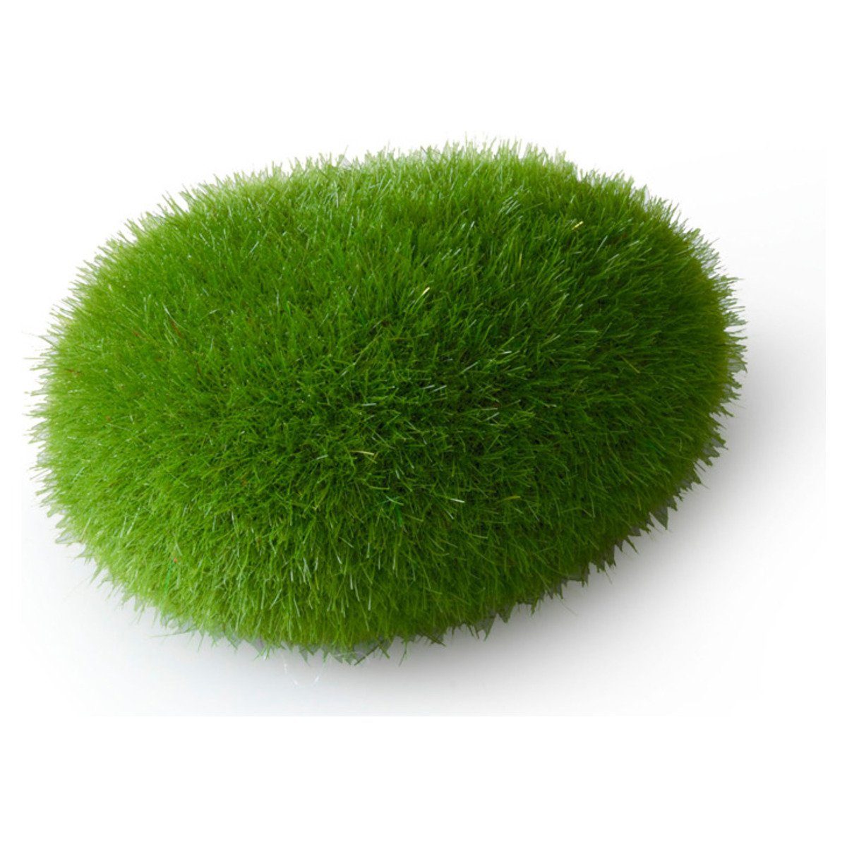 Aquariendeko Aquariumdekoration Moosball