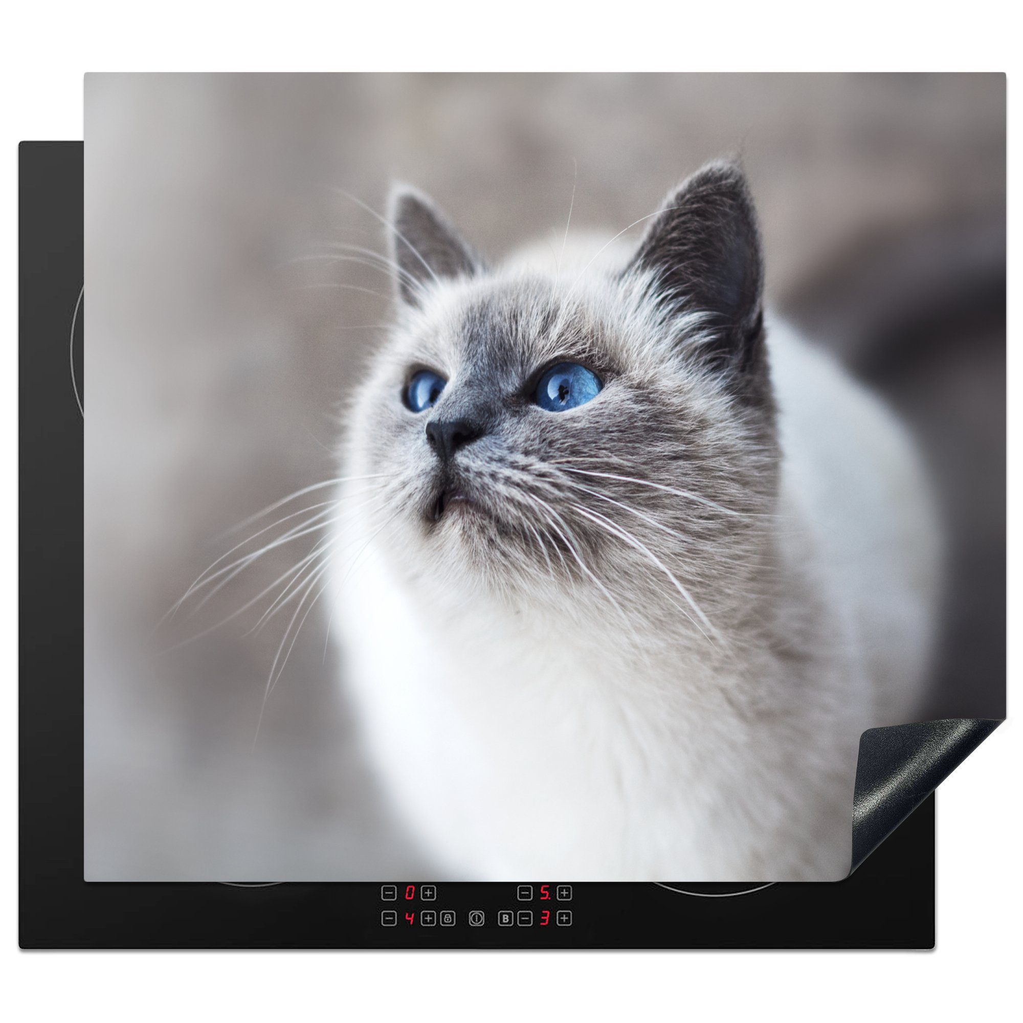 MuchoWow Herdblende-/Abdeckplatte Katzen - Haustiere - Augen - Blau, Vinyl, (1 tlg), 60x52 cm, Mobile Arbeitsfläche nutzbar, Ceranfeldabdeckung