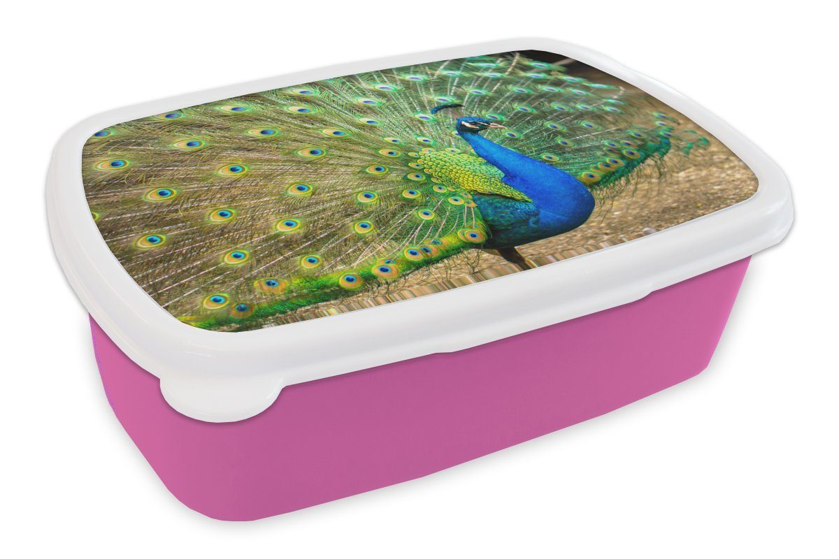 MuchoWow Lunchbox Pfau - Brotbox (2-tlg), für Mädchen, Kunststoff, Kunststoff Nahaufnahme, Kinder, Brotdose - Erwachsene, Snackbox, Federn rosa