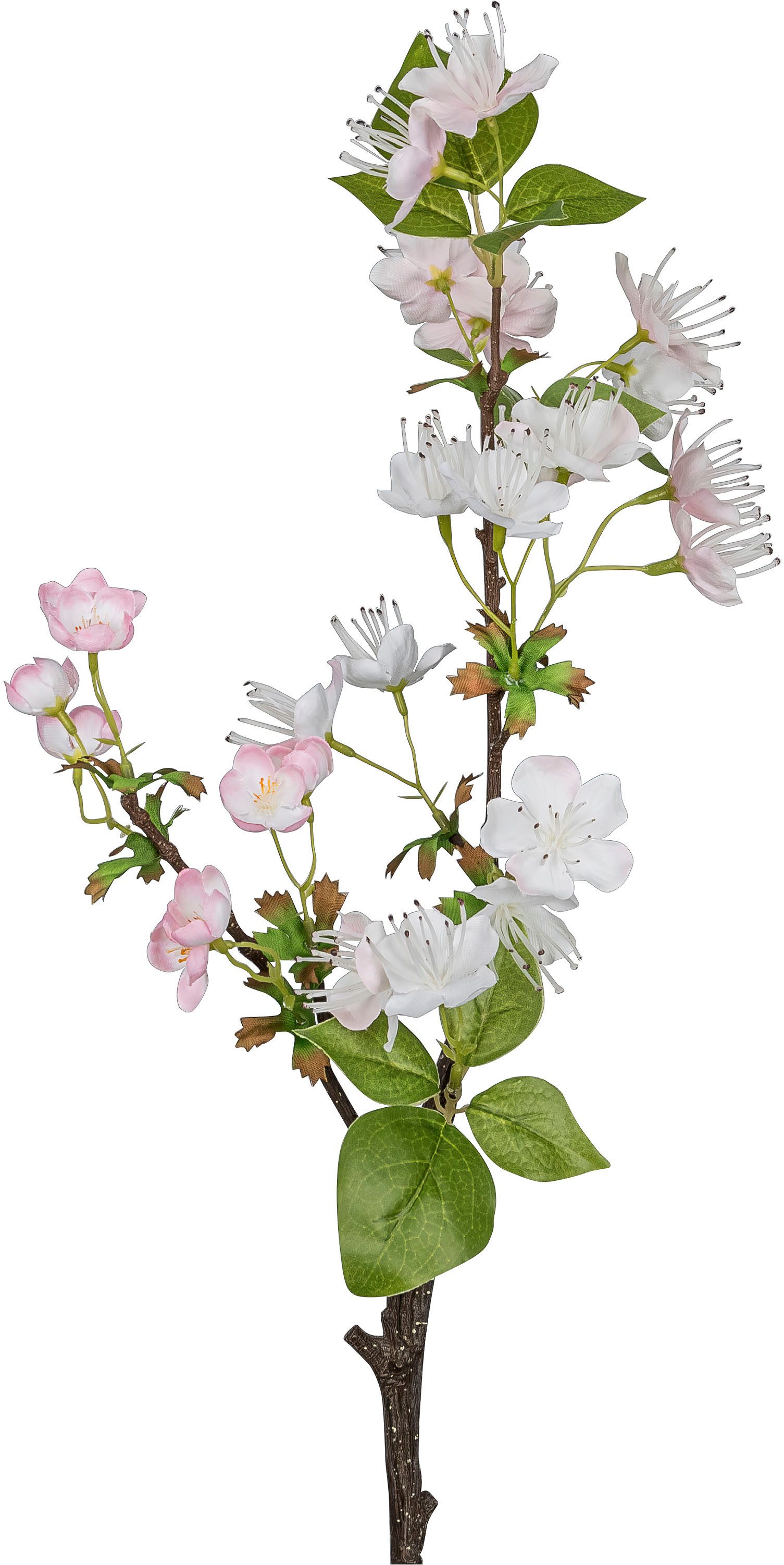 Kunstzweig Apfelblütenzweig, Creativ green, Höhe 50 cm, mit traumhaft schön günstig online kaufen