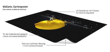 Wallario Sichtschutzzaunmatten Zitrone im Wasser - Frisches Obst für die Küche