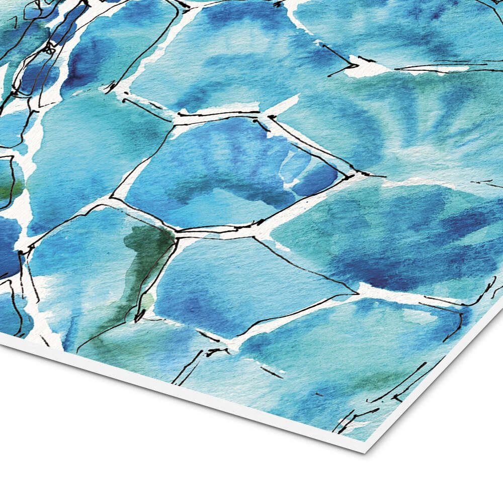 Posterlounge Wandbild Schildkröte IX, Anne Tavoletti, erhältlich als Poster, Leinwandbild, Wandsticker oder Acrylglasbild