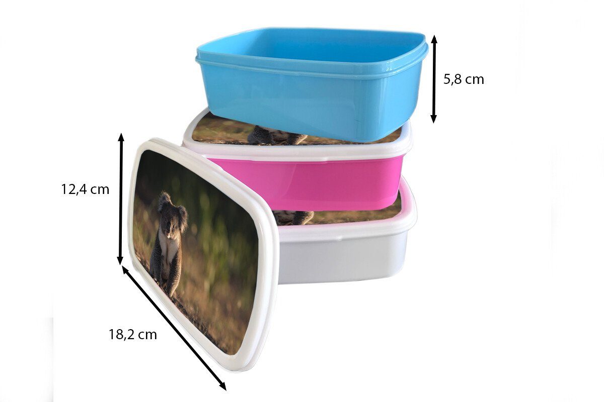 Tier Koala Kunststoff Brotbox MuchoWow Kinder für Snackbox, Kinder, Lunchbox rosa - - Jungen Brotdose - - - Kunststoff, Sonne Erwachsene, (2-tlg), Mädchen, Mädchen,