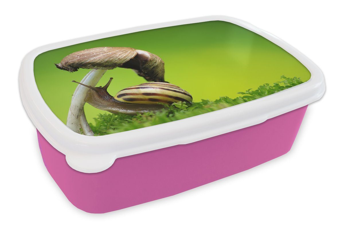 Erwachsene, Brotbox Schnecke für Mädchen, klettert Kunststoff Brotdose auf Kunststoff, Pilz, Lunchbox (2-tlg), Kinder, Snackbox, rosa MuchoWow