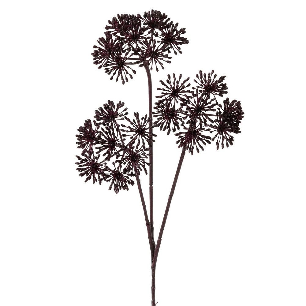 Kunstzweig Boltze Dekozweig Bärenklau, Dunkelbraun, 2069845, günstig online kaufen