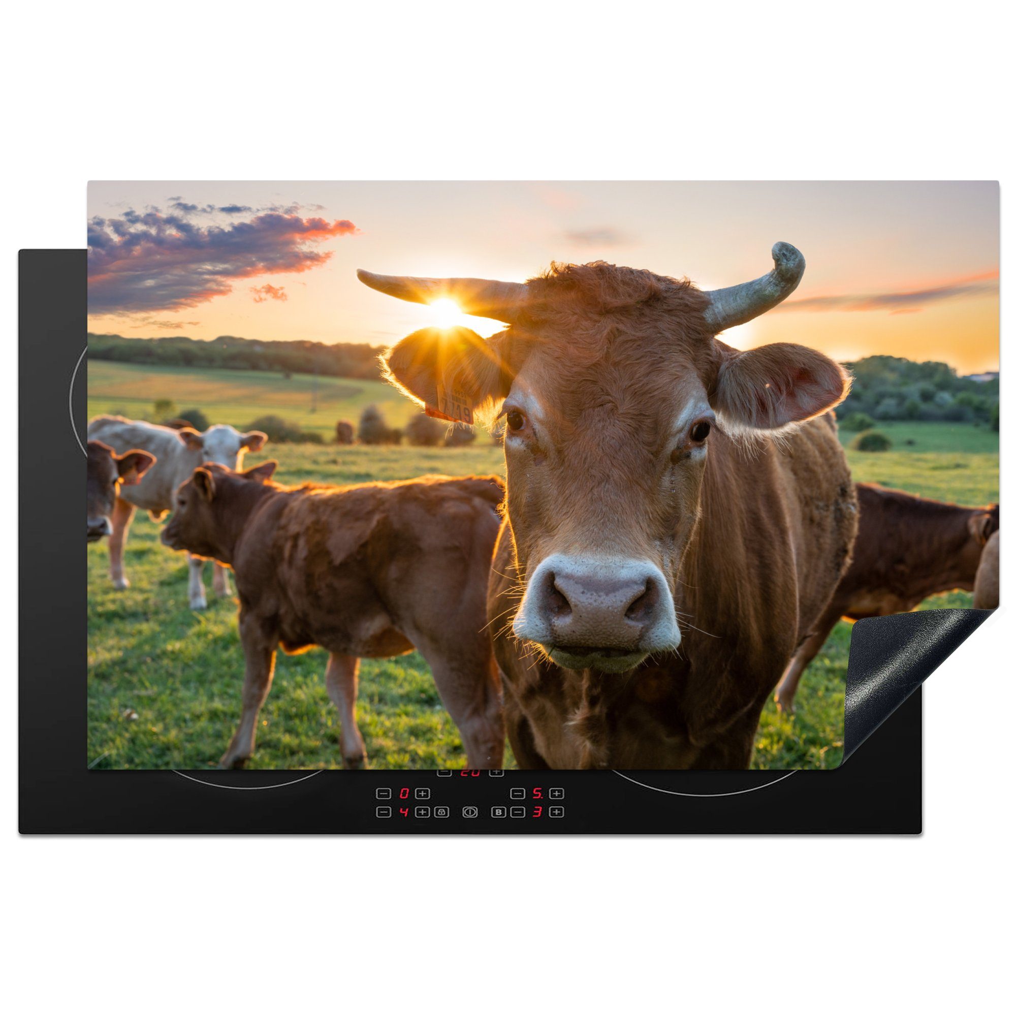 MuchoWow Herdblende-/Abdeckplatte - Ceranfeldabdeckung (1 81x52 - die cm, Wiese Schutz Vinyl, Landleben, tlg), für Kühe Sonne Induktionskochfeld - küche