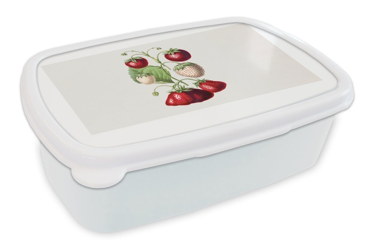 MuchoWow Lunchbox Erdbeeren - Obst - Gesund, Kunststoff, (2-tlg), Brotbox für Kinder und Erwachsene, Brotdose, für Jungs und Mädchen weiß