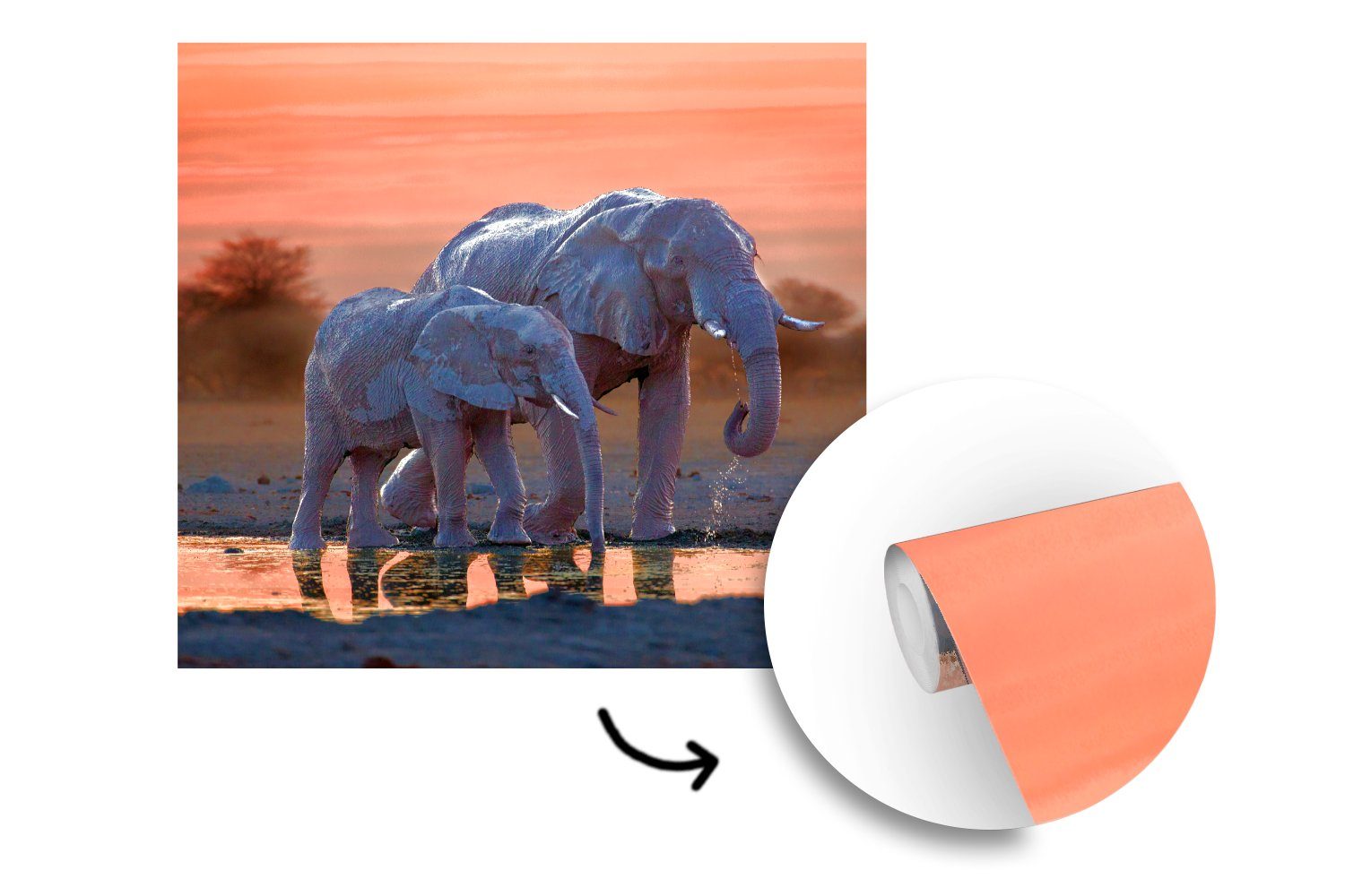 (4 Wohnzimmer Fototapete Orange, - Wasser - Küche, für bedruckt, Tiere - - Matt, Fototapete St), Schlafzimmer Elefant Vliestapete Sonnenuntergang MuchoWow
