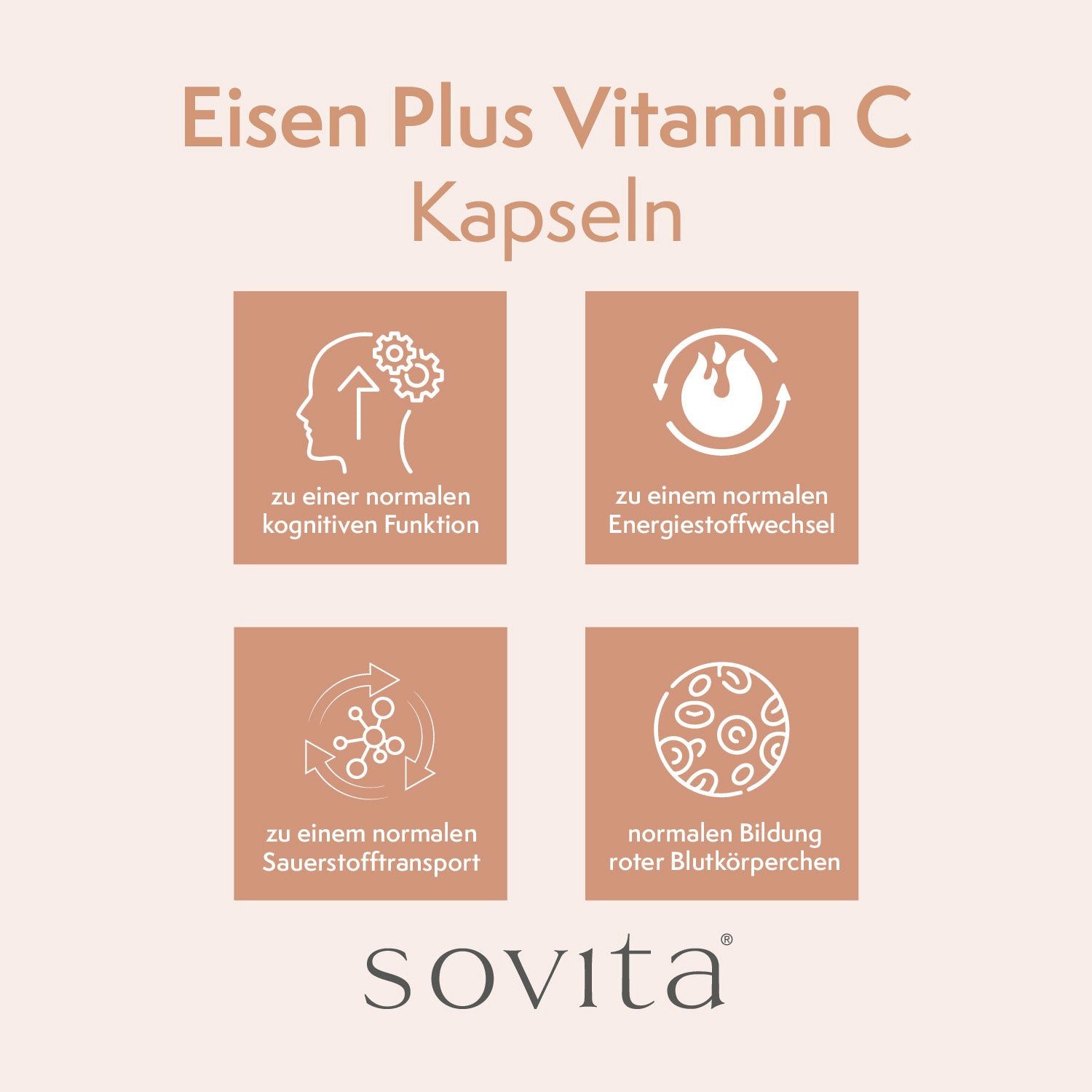 Ascopharm Eisen plus Vitamin C Kapseln, 150 Stück mit 5 mg Eisen und 20 mg C 1, 1 er