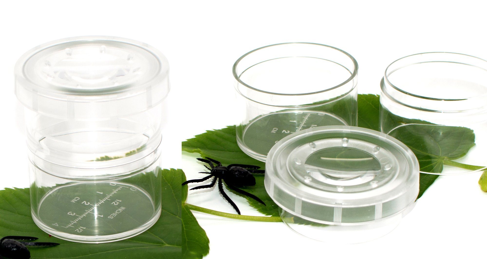 Edu-Toys Becherlupe BL003 Becherlupe Sammeldose Insektenbetrachter für Schule und Kita, Lupendose, 2-tlg., für Sammler Beobachter Entdecker, teilbar mit mm-Einteilung