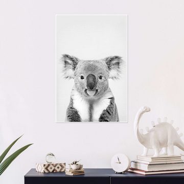 Posterlounge Poster Sisi And Seb, Freundlicher Koala, Kinderzimmer Fotografie