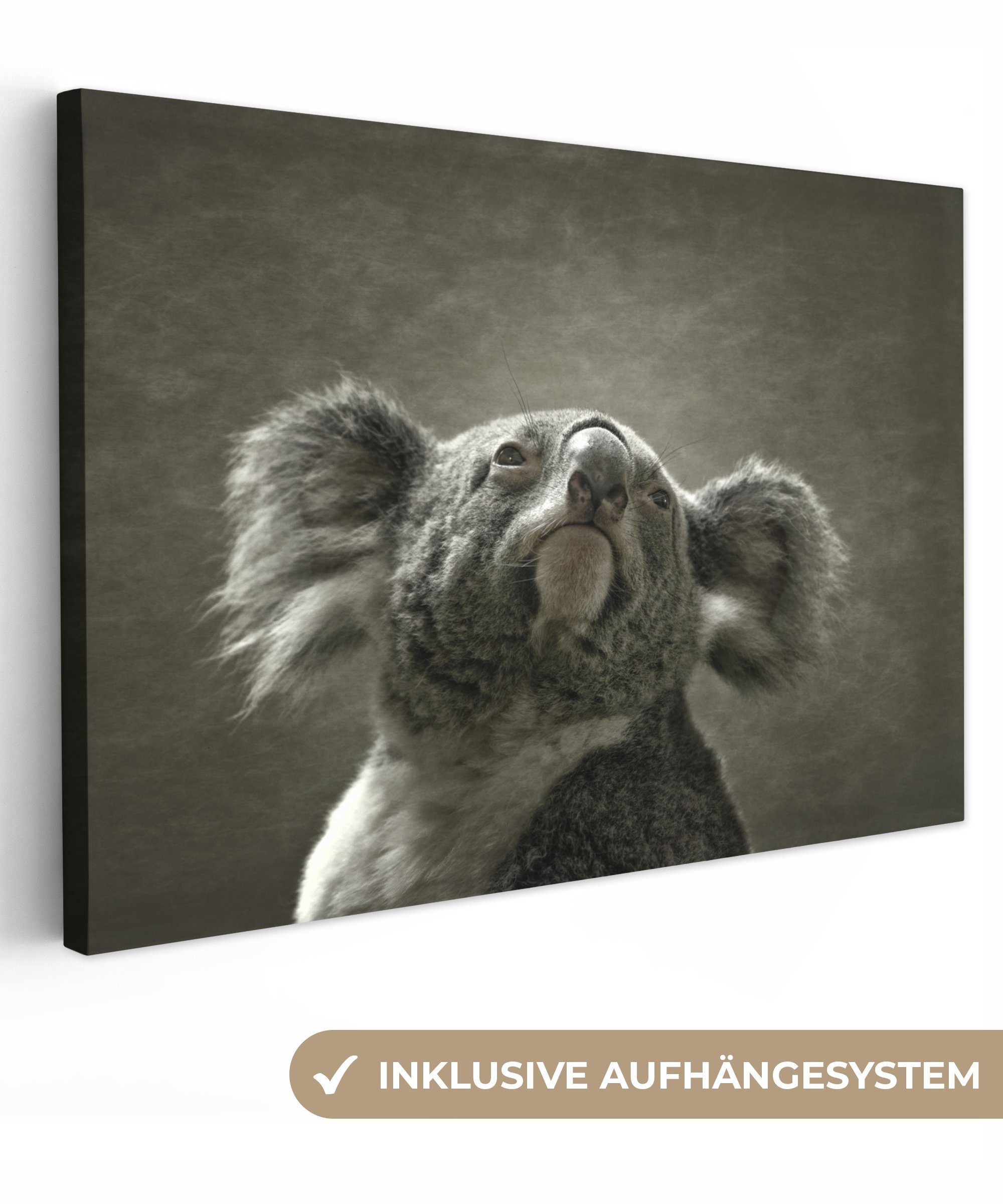 OneMillionCanvasses® Leinwandbild Koala - Tiere - Kontur, (1 St), Wandbild Leinwandbilder, Aufhängefertig, Wanddeko, 30x20 cm