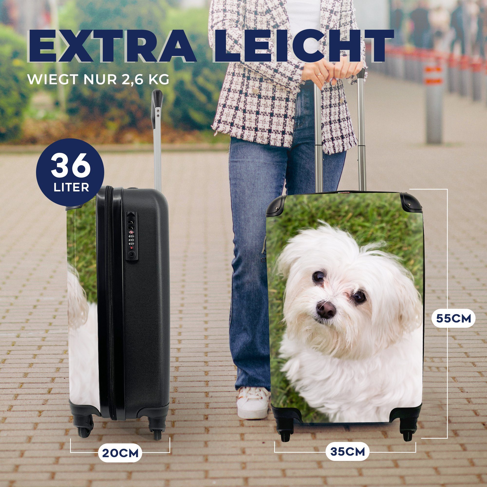 MuchoWow Handgepäckkoffer Malteserhund Trolley, 4 Rollen, Handgepäck rollen, für Ferien, mit Reisetasche auf, schaut Reisekoffer