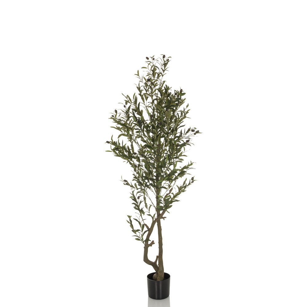 Kunstpflanze Kunstpflanze OLIVE I Kunststoff Olive, günstig online kaufen