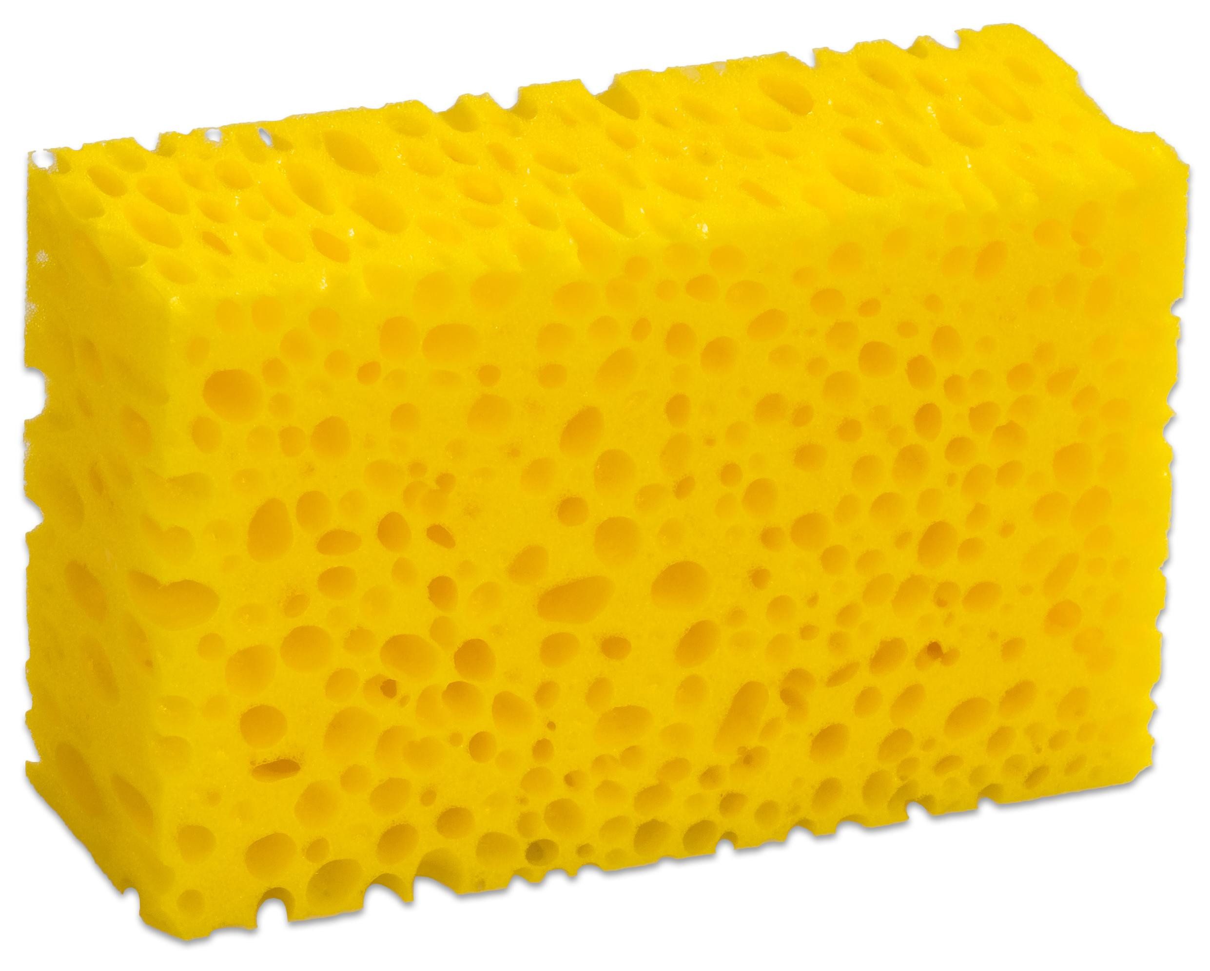 Betzold Schwamm Tafelschwämme