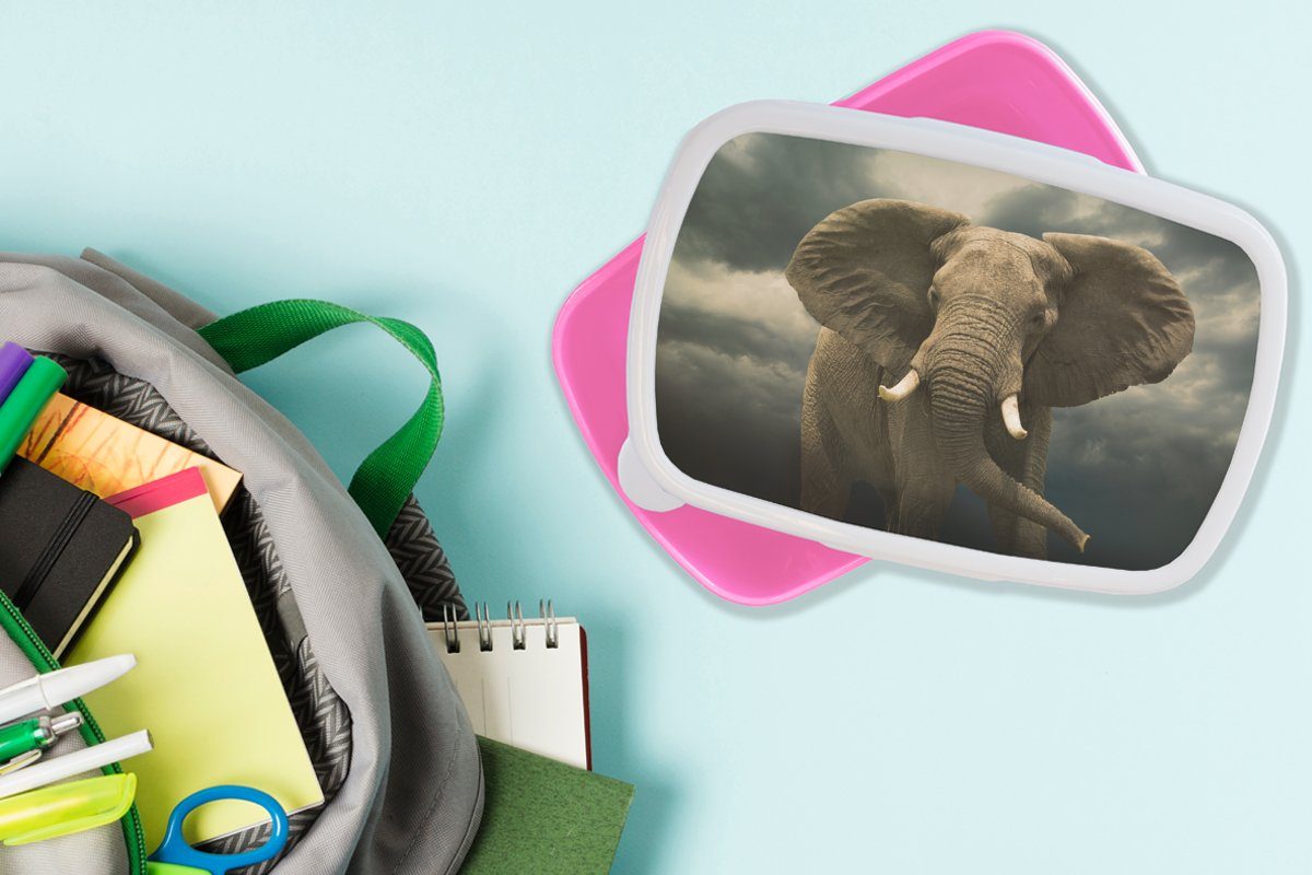 MuchoWow Lunchbox Afrikanischer Elefant Snackbox, Mädchen, für dunklen Brotdose Kinder, Wolken, rosa Kunststoff die (2-tlg), Erwachsene, gegen Kunststoff, Brotbox