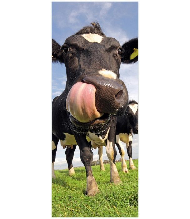 Wallario Memoboard Lustige Kuh auf der Weide mit herausgestreckter Zunge