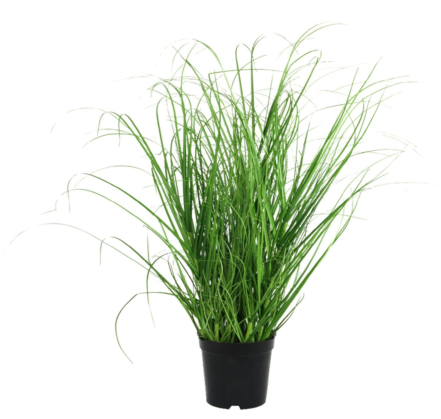 Kunstgras Kunstpflanze NARVIK, H 40 cm, Grün, Schwarz, Gras, Gasper, Höhe 40,00 cm, Kunststoff