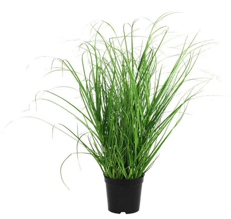 Kunstgras Kunstpflanze NARVIK, H 40 cm, Grün, Schwarz, Gras, Gasper, Höhe 40,00 cm, Kunststoff