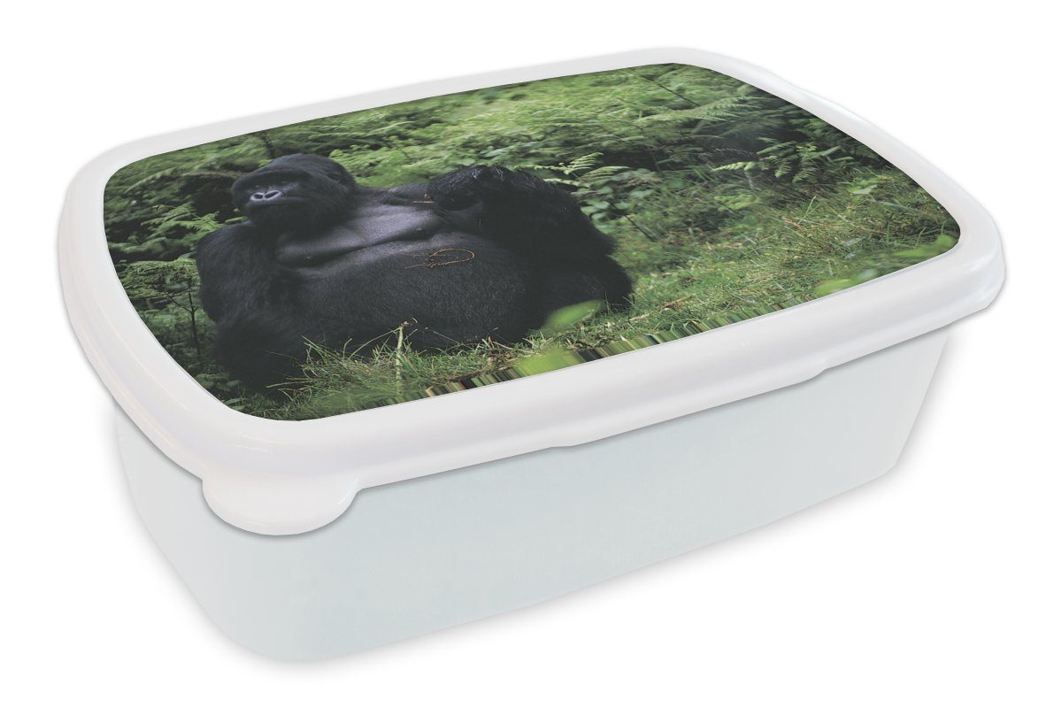 MuchoWow Lunchbox Ein riesiger Gorilla in einem grünen Regenwald, Kunststoff, (2-tlg), Brotbox für Kinder und Erwachsene, Brotdose, für Jungs und Mädchen weiß