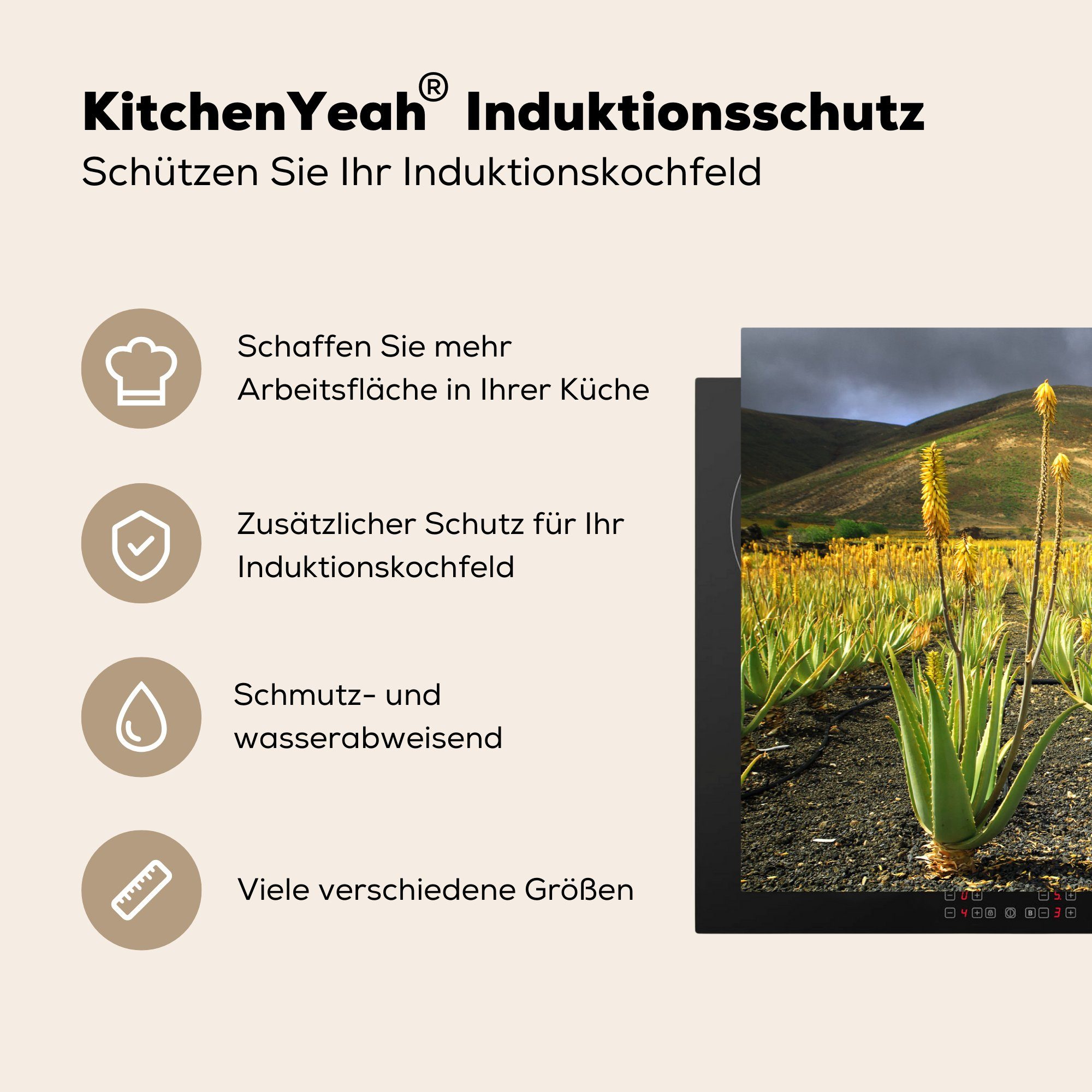 Eine 81x52 Lanzarote, Vinyl, MuchoWow für die (1 auf tlg), Induktionskochfeld Schutz Aloe-Vera-Plantage küche, Herdblende-/Abdeckplatte Ceranfeldabdeckung cm,