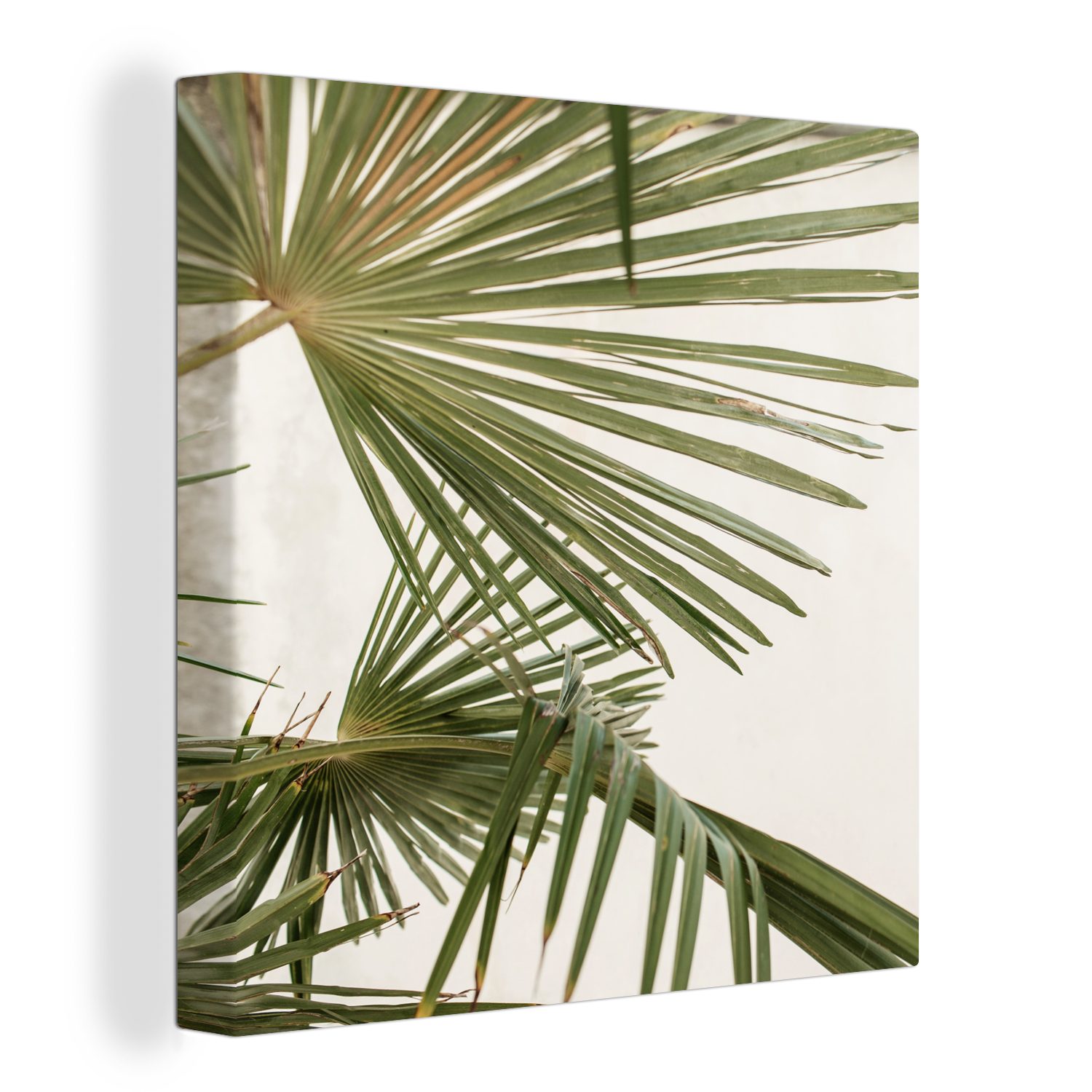 OneMillionCanvasses® Leinwandbild Palme - Himmel - Blätter, (1 St), Leinwand Bilder für Wohnzimmer Schlafzimmer