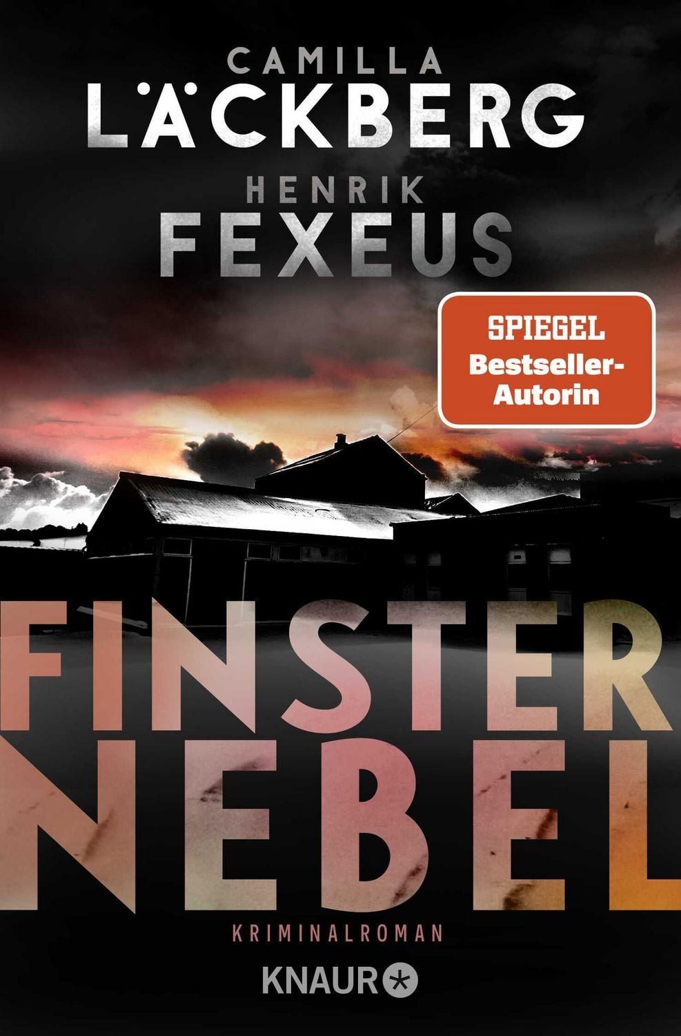 Finsternebel / Camilla Läckberg, Henrik Fexeus