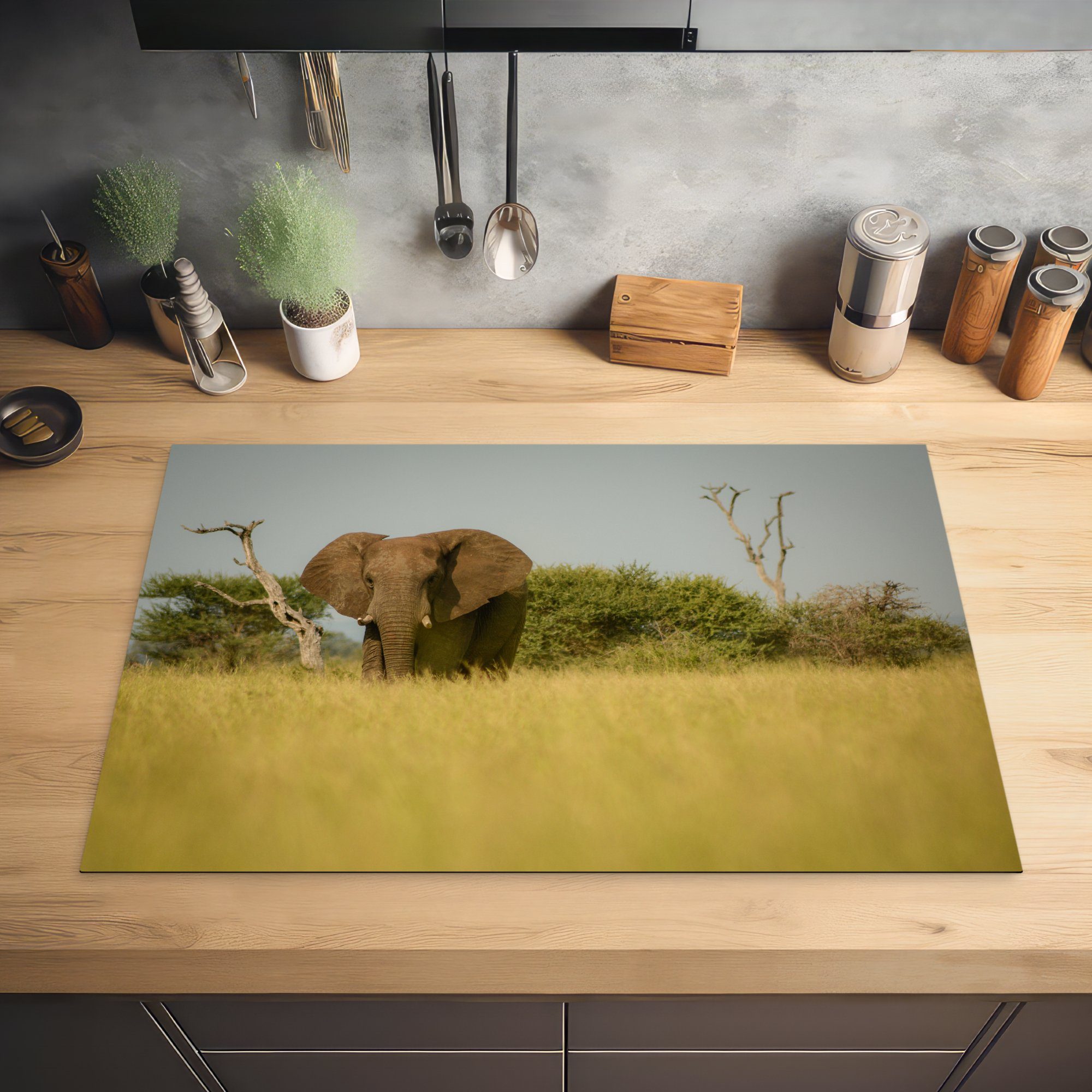 Ein cm, Schutz 81x52 gesichtet, Safari Herdblende-/Abdeckplatte für tlg), auf Induktionskochfeld MuchoWow küche, (1 die Ceranfeldabdeckung Elefant Vinyl,