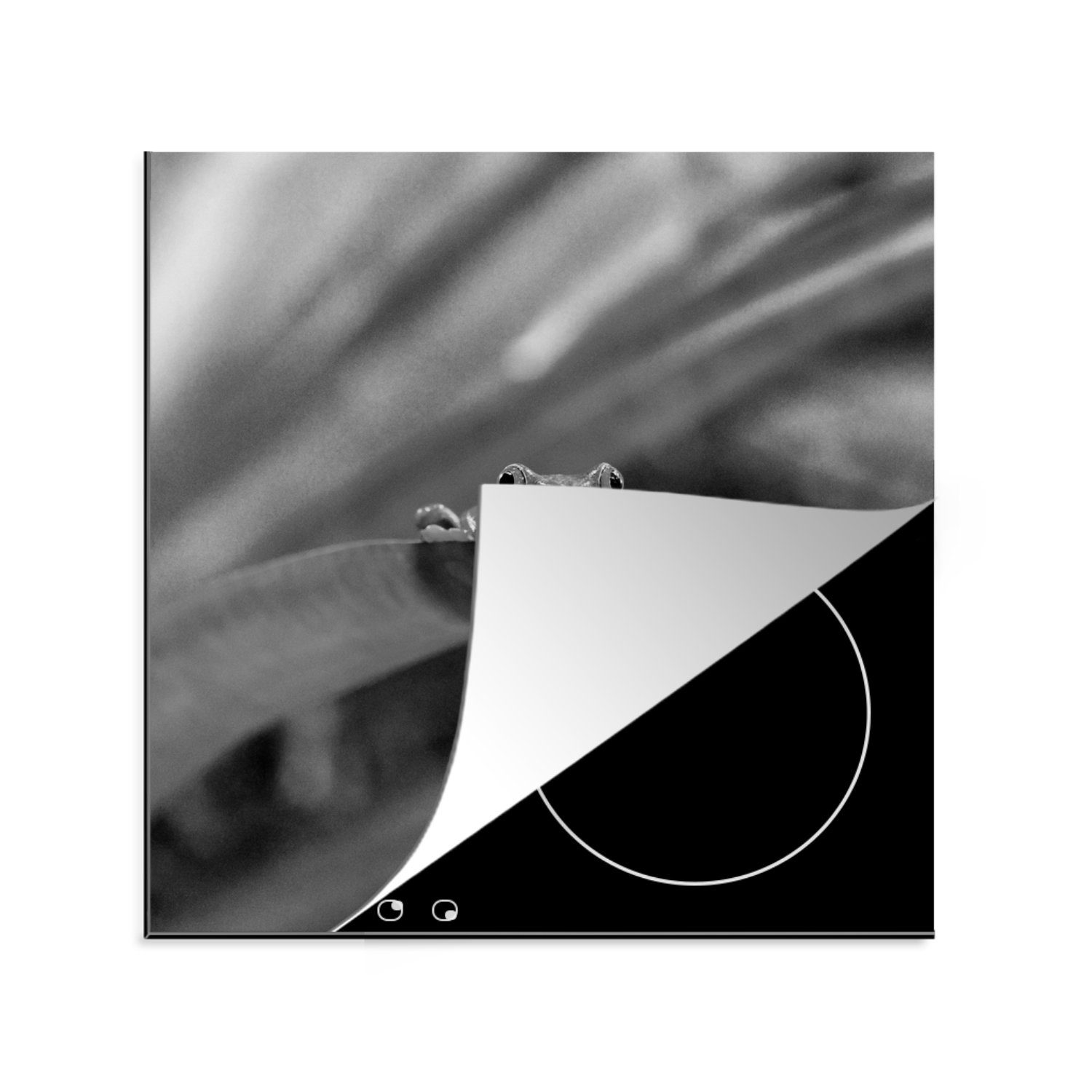 Rica (1 Vinyl, 78x78 in unter cm, Blättern küche Herdblende-/Abdeckplatte Ceranfeldabdeckung, Rotaugenmakakenfrosch für tlg), MuchoWow Arbeitsplatte schwarz-weiß, Costa in