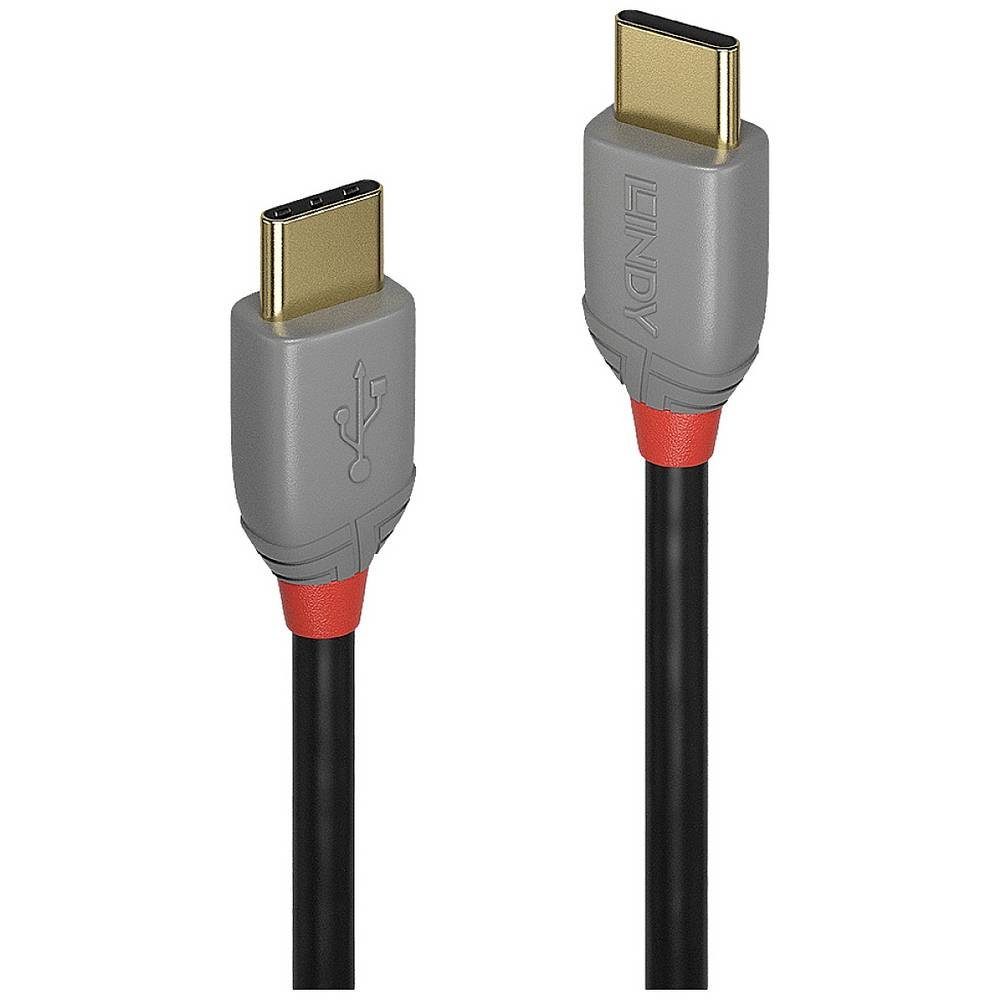 Lindy USB Kabel 1 m USB 2 USB C USB-Kabel