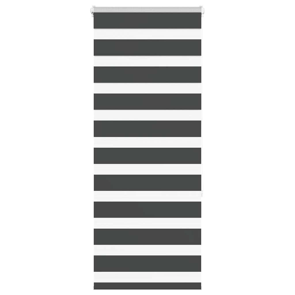 Verdunklungsrollo, vidaXL, Zebrarollo Schwarz 60x150 cm Stoffbreite 55,9 cm Polyester