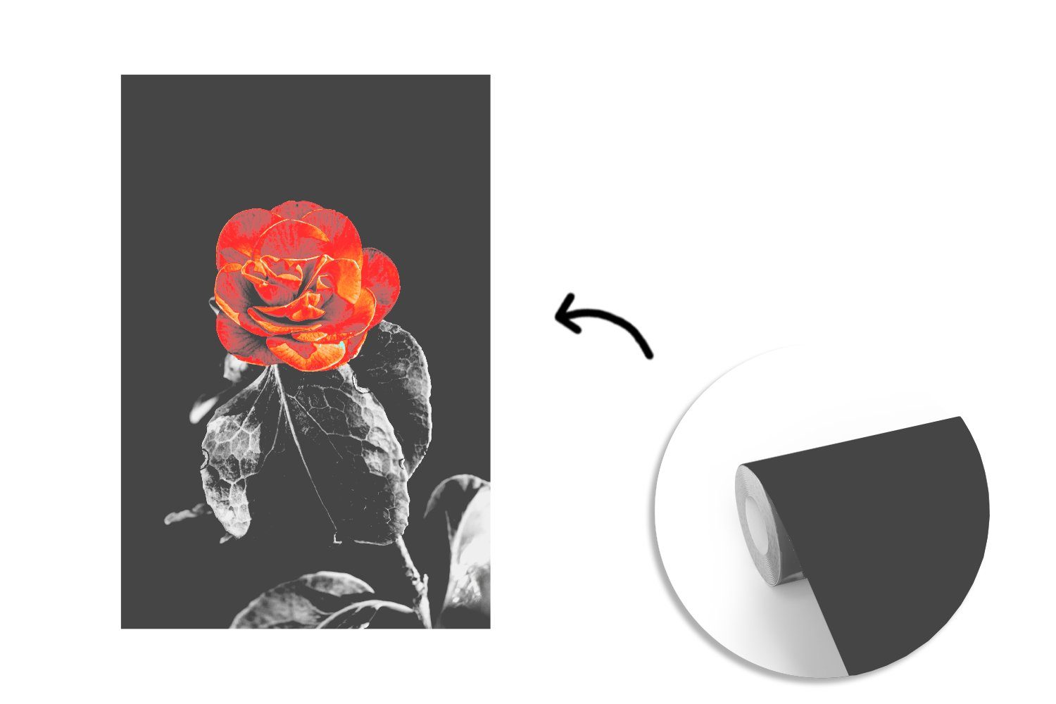 MuchoWow Fototapete Vinyl Wohnzimmer, für - Orange - St), (3 Matt, Wandtapete Blumen bedruckt, Rosen - Weiß, Montagefertig - Schwarz Tapete