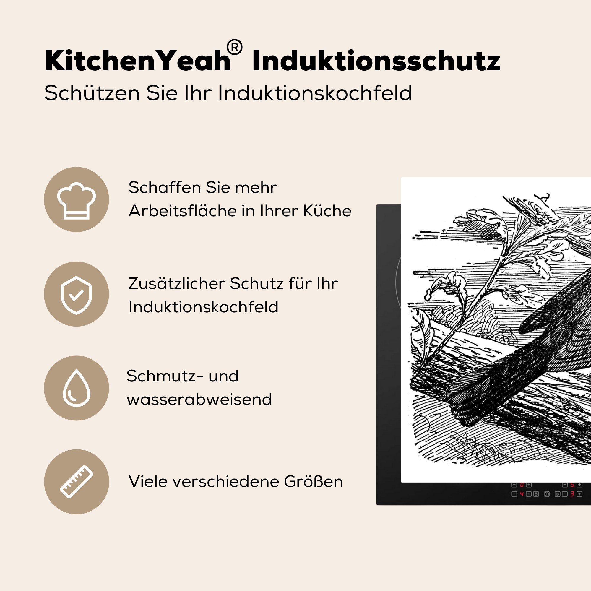 MuchoWow Herdblende-/Abdeckplatte Merel - Illustration küche Arbeitsplatte für cm, Vinyl, - tlg), Zweigstelle, (1 83x51 Ceranfeldabdeckung