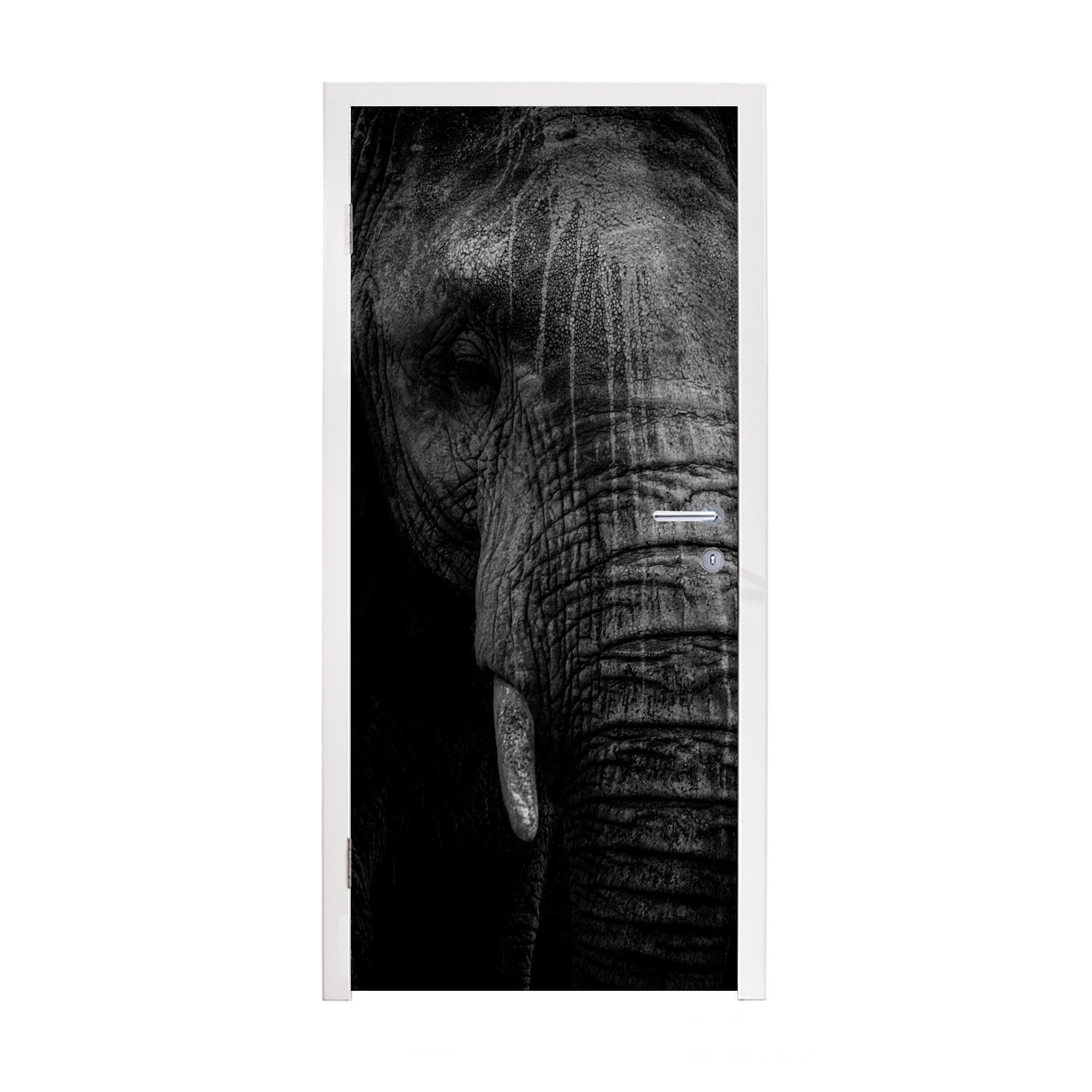 MuchoWow Türtapete Elefant - Tier - Porträt, Matt, bedruckt, (1 St), Fototapete für Tür, Türaufkleber, 75x205 cm