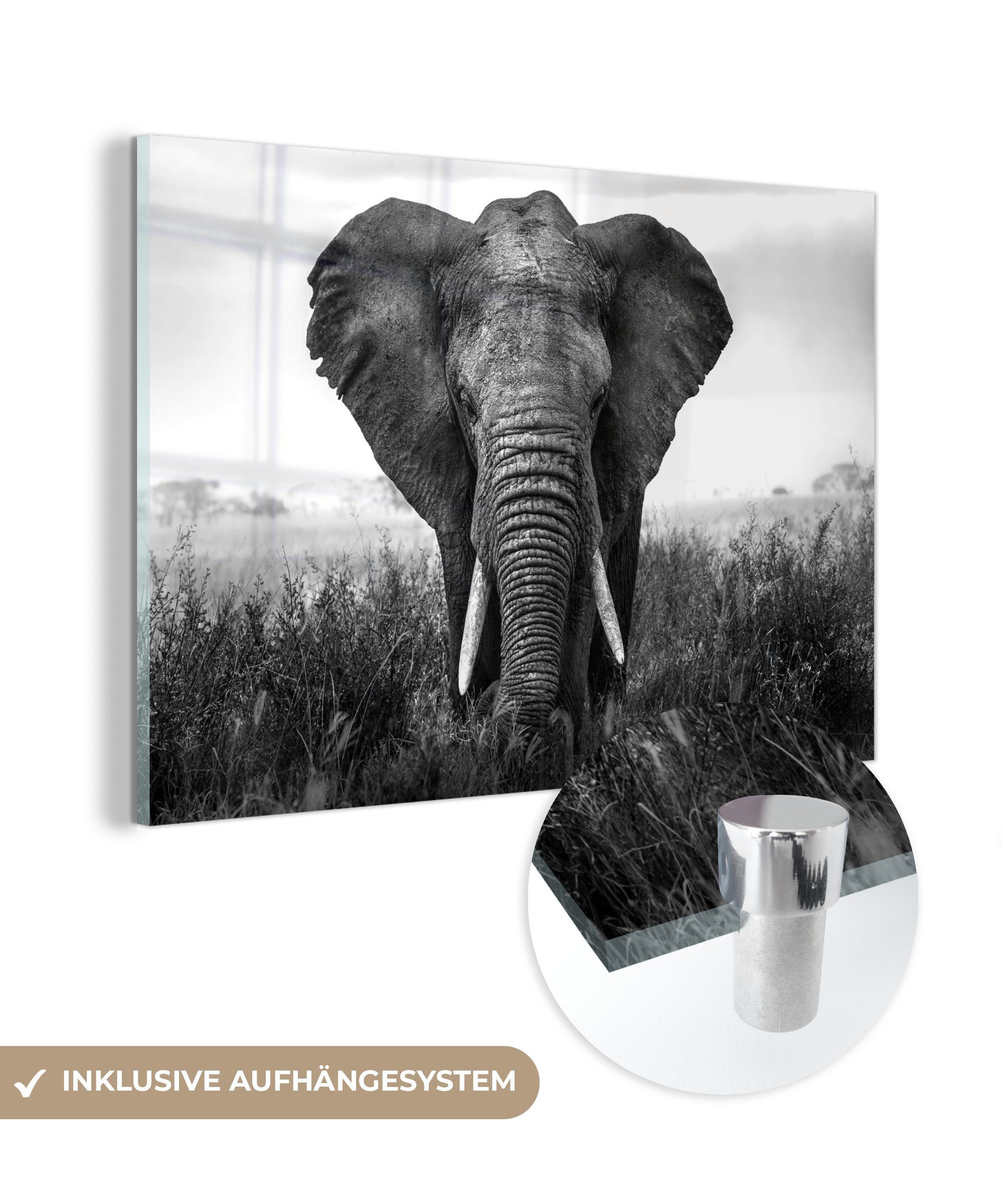 MuchoWow Acrylglasbild Afrikanischer Elefant im Gras im Serengeti-Nationalpark - schwarz und, (1 St), Acrylglasbilder Wohnzimmer & Schlafzimmer