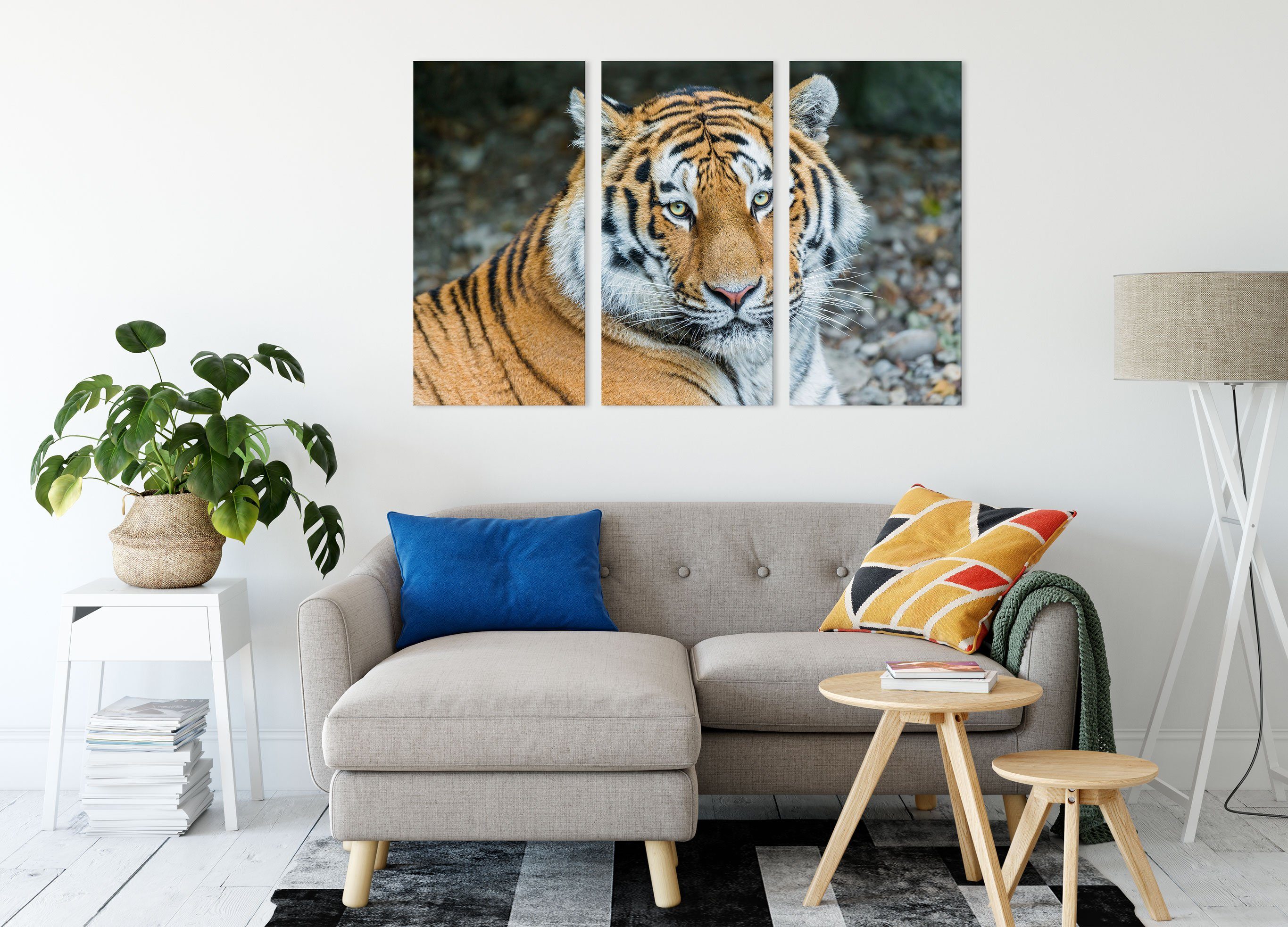 inkl. Tiger prächtiger Pixxprint bespannt, Zackenaufhänger (1 prächtiger 3Teiler Tiger, St), Leinwandbild fertig Leinwandbild (120x80cm)
