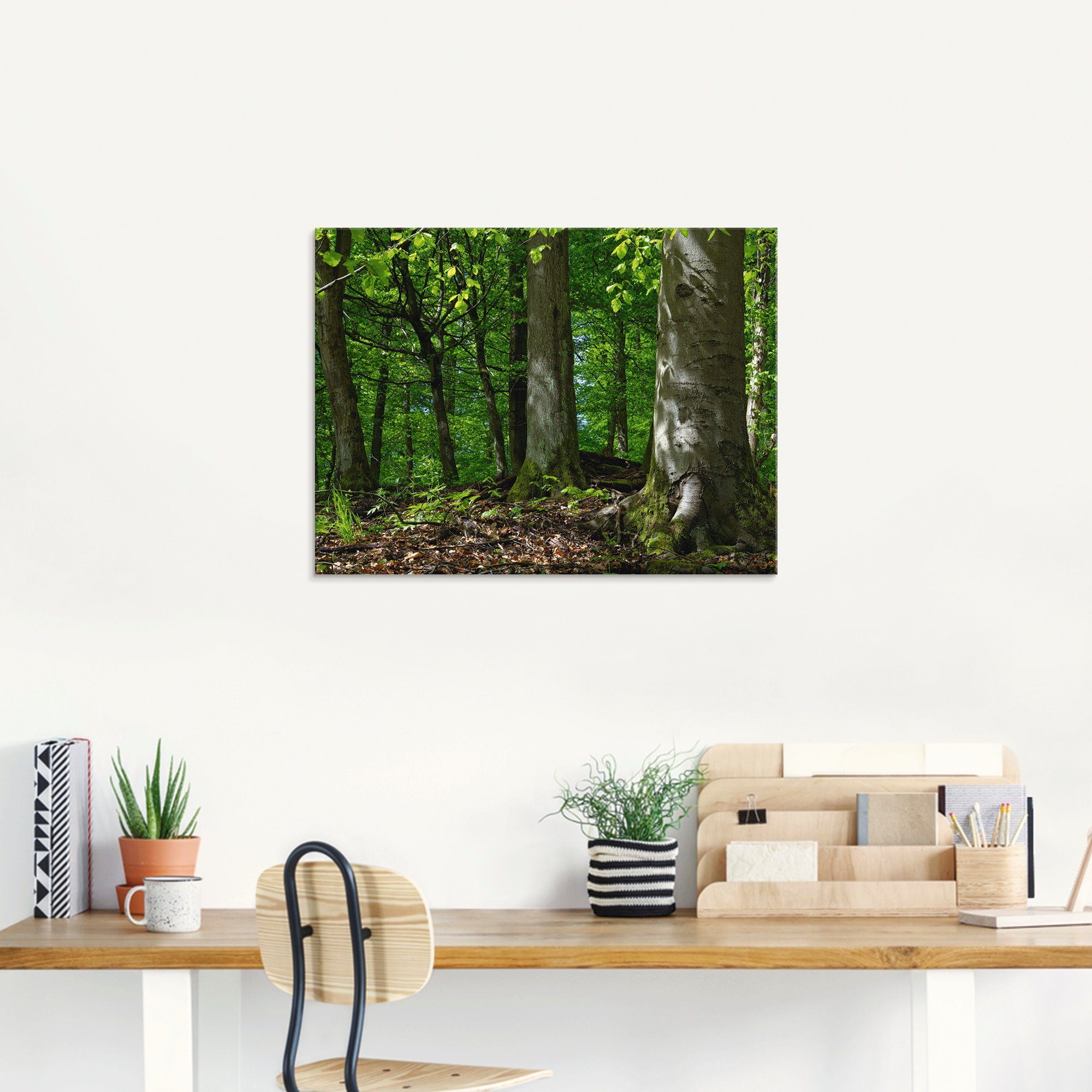 Artland Glasbild »Frühling im Buchenwald«, Wald (1 Stück)-HomeTrends